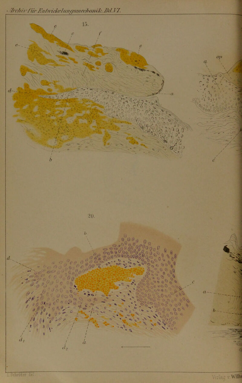 15. 20. Ü . . Q Ö /a a Q © 0 r, /9 A) ^ wf ii»'“ JJ0|S; ■ V ,■) uv ( . i'.’ 'V' r ‘ 0' ß,‘: 9' •> . : «**/ ■/#{& - >$> ©%'•* .'jnrasBdHRlk0 * -'* *<§ &. c V-«-. , v ? , . * *;>v , ;P 0 «o y*' e> ;- o «■ >* } fj Ci ^ ■ t - * /!■■«• * / f !•' Hfl. .f ^ k \\ /? .«■» ■' * c - ■' i;-'-' • 's ' >. * * .®«?® | ' % r •* *\ -., ■’wAVo*' * A - v^'2> v *•?, * * m 'v • v t *.\ *•- . \ V'- / d, I I a d, L.Schröter dei.