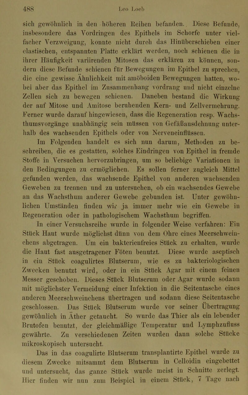 sich gewöhnlich in den höheren Reihen befanden. Diese Befunde, insbesondere das Vordringen des Epithels im Schorfe unter viel- facher Verzweigung, konnte nicht durch das HinUberschieben einer elastischen, entspannten Platte erklärt werden, noch schienen die in ihrer Häufigkeit variirenden Mitosen das erklären zu können, son- dern diese Befunde schienen flir Bewegungen im Epithel zu sprechen, die eine gewisse Ähnlichkeit mit amöboiden Bewegungen hatten, wo- bei aber das Epithel im Zusammenhang vordrang und nicht einzelne Zellen sich zu bewegen schienen. Daneben bestand die Wirkung der auf Mitose und Amitose beruhenden Kern- und Zellvermehrung. Ferner wurde daraufhingewiesen, dass die Regeneration resp. Wachs- thumsvorgänge unabhängig sein müssen von Gefäßausdehnung unter- halb des wachsenden Epithels oder von Nerveneinflüssen. Im Folgenden handelt es sich nun darum, Methoden zu be- schreiben, die es gestatten, solches Eindringen von Epithel in fremde Stoffe in Versuchen hervorzubringen, um so beliebige Variationen in den Bedingungen zu ermöglichen. Es sollen ferner zugleich Mittel gefunden werden, das wachsende Epithel von anderen wachsenden Geweben zu trennen und zu untersuchen, ob ein wachsendes Gewebe an das Wachsthum anderer Gewebe gebunden ist. Unter gewöhn- lichen Umständen finden wir ja immer mehr wie ein Gewebe in Regeneration oder in pathologischem Wachsthum begriffen. In einer Versuchsreihe wurde in folgender Weise verfahren: Eiu Stück Haut wurde möglichst dünn von dem Ohre eines Meerschwein- chens abgetragen. Um ein bakterienfreies Stück zu erhalten, wurde die Haut fast ausgetragener Föten benutzt. Diese wurde aseptisch in ein Stück coagulirtes Blutserum, wie es zu bakteriologischen Zwecken benutzt wird, oder in ein Stück Agar mit einem feinen Messer geschoben. Dieses Stück Blutserum oder Agar wurde sodann mit möglichster Vermeidung einer Infektion in die Seitentasche eines anderen Meerschweinchens übertragen und sodann diese Seitentasche geschlossen. Das Stück Blutserum wurde vor seiner Übertragung gewöhnlich in Äther getaucht. So wurde das Thier als ein lebender Brutofen benutzt, der gleichmäßige Temperatur und Lymphzufluss gewährte. Zu verschiedenen Zeiten wurden dann solche Stücke mikroskopisch untersucht. Das in das coagulirte Blutserum trausplantirte Epithel wurde zu diesem Zwecke mitsammt dem Blutserum in Celloidin eingebettet und untersucht, das ganze Stück wurde meist in Schnitte zerlegt. Hier finden wir nun zum Beispiel in einem Stück, 7 Tage nach