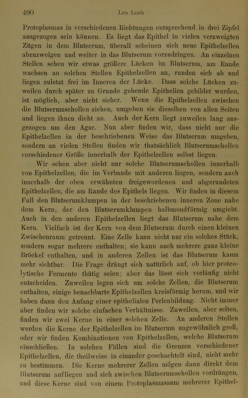 Protoplasmas in verschiedenen Richtungen entsprechend in drei Zipfel ausgezogen sein können. Es liegt das Epithel in vielen verzweigten Zügen in dem Blutserum, überall scheinen sich neue Epithelzellen abzuzweigen und weiter in das Blutserum vorzudringen. An einzelnen Stellen sehen wir etwas größere Lücken im Blutserum, am Rande wachsen an solchen Stellen Epithelzellen an, runden sich ab und liegen zuletzt frei im Inneren der Lücke. Dass solche Lücken zu- weilen durch später zu Grunde gehende Epithelien gebildet wurden, ist möglich, aber nicht sicher. Wenn die Epithelzellen zwischen die Blutserumschollen ziehen, umgeben sie dieselben von allen Seiten und liegen ihnen dicht an. Auch der Kern liegt zuweilen lang aus- gezogen um den Agar. Nun aber finden wir, dass nicht nur die Epithelzellen in der beschriebenen Weise das Blutserum umgeben, sondern an vielen Stellen finden wir thatsächlicli Blutserumschollen verschiedener Größe innerhalb der Epithelzellen selbst liegen. Wir sehen aber nicht nur solche Blutserumschollen innerhalb von Epithelzellen, die im Verbände mit anderen liegen, sondern auch innerhalb der oben erwähnten freigewordenen und abgerundeten Epithelzellen, die am Rande des Epithels liegen. Wir finden in diesem Fall den Blutserumklumpen in der beschriebenen inneren Zone nahe dem Kern, der den Blutserumklumpen halbmondförmig umgiebt. Auch in den anderen Epithelzellen liegt das Blutserum nahe dem Kern. Vielfach ist der Kern von dem Blutserum durch einen kleinen Zwischenraum getrennt. Eine Zelle kann nicht nur ein solches Stück, sondern sogar mehrere enthalten; sie kann auch mehrere ganz kleine Brockel enthalten, und in anderen Zellen ist das Blutserum kaum mehr sichtbar. Die Frage drängt sich natürlich auf, ob hier proteo- lytische Fermente thätig seien; aber das lässt sich vorläufig nicht entscheiden. Zuweilen legen sich um solche Zellen, die Blutserum enthalten, einige benachbarte Epithelzellen kreisförmig herum, und wir haben dann den Anfang einer epithelialen Perlenbildung. Nicht immer aber finden wir solche einfachen Verhältnisse. Zuweilen, aber selten, finden wir zwei Kerne in einer solchen Zelle. An anderen Stellen werden die Kerne der Epithelzellen im Blutserum ungewöhnlich groß, oder wir finden Kombinationen von Epithelzellen, welche Blutserum einschließen. In solchen Fällen sind die Grenzen verschiedener Epithelzellen, die theilweise in einander geschachtelt sind, nicht mehr zu bestimmen. Die Kerne mehrerer Zellen mögen dann direkt dem Blutserum auf liegen und sich zwischen Blutserumschollen vordrängen, und diese Kerne sind von einem Protoplasmasaum mehrerer Epithel-