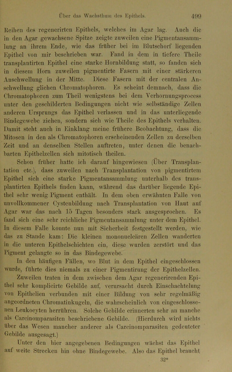 Reihen des regenerirten Epithels, welches im Agar lag. Auch die in den Agar gewachsene Spitze zeigte zuweilen eine Pigmentansamm- lung an ihrem Ende, wie das früher bei im Blutschorf liegenden Epithel von mir beschrieben war. Fand in dem in tiefere Theile transplantirten Epithel eine starke Hornbildung statt, so fanden sich in diesem Horn zuweilen pigmentirte Fasern mit einer stärkeren Anschwellung in der Mitte. Diese Fasern mit der centralen An- schwellung glichen Chromatophoren. Es scheint demnach, dass die Chromatophoren zum Theil wenigstens bei dem Verhornungsprocess unter den geschilderten Bedingungen nicht wie selbständige Zellen anderen Ursprungs das Epithel verlassen und in das unterliegende Bindegewebe ziehen, sondern sich wie Theile des Epithels verhalten. Damit steht auch in Einklang meine frühere Beobachtung, dass die Mitosen in den als Chromatophoren erscheinenden Zellen zu derselben Zeit und an denselben Stellen auftreten, unter denen die benach- barten Epithclzcllen sich mitotisch theilen. Schon früher hatte ich darauf hingewiesen (Über Transplan- tation etc.), dass zuweilen nach Transplantation von pigmentirtem Epithel sich eine starke Pigmentansammlung unterhalb des trans- plantirten Epithels finden kann, während das darüber liegende Epi- thel sehr wenig Pigment enthält. In dem oben erwähnten Falle von unvollkommener Cystenbildung nach Transplantation von Haut auf Agar war das nach 15 Tagen besonders stark ausgesprochen. Es fand sich eine sehr reichliche Pigmentansammlung unter dem Epithel. In diesem Falle konnte nun mit Sicherheit festgcstellt werden, wie das zu Stande kam: Die kleinen mononucleären Zellen wanderten in die unteren Epithelschichten ein, diese wurden zerstört und das Pigment gelangte so in das Bindegewebe. In den häufigen Fällen, wo Blut in dem Epithel eingeschlossen wurde, führte dies niemals zu einer Pigmentirung der Epithelzellen. Zuweilen traten in dem zwischen dem Agar regenerirenden Epi- thel sehr komplicirte Gebilde auf, verursacht durch Einschachtelung von Epitlielien verbunden mit einer Bildung von sehr regelmäßig angeordneten Chromatinkugeln, die wahrscheinlich von cingeschlosse- nen Leukocyten herrühren. Solche Gebilde erinnerten sehr an manche als Careinomparasiten beschriebene Gebilde. (Hierdurch wird nichts über das Wesen mancher anderer als Carcinomparasiten gedeuteter Gebilde ausgesagt.) Unter den hier angegebenen Bedingungen wächst das Epithel auf weite Strecken hin ohne Bindegewebe. Also das Epithel braucht 32*