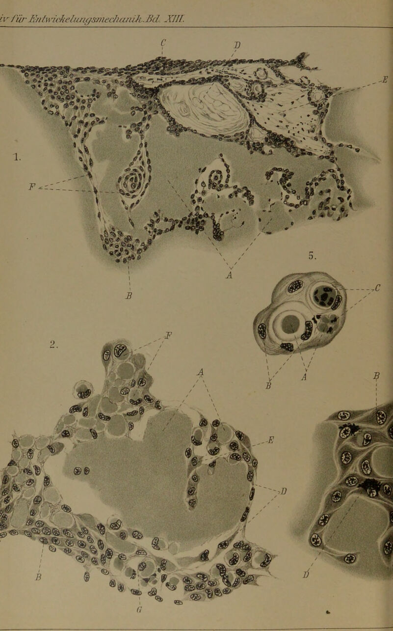 iv für J''fil\\ickelu/igS7)iec]umiJt.-Bd XII[.