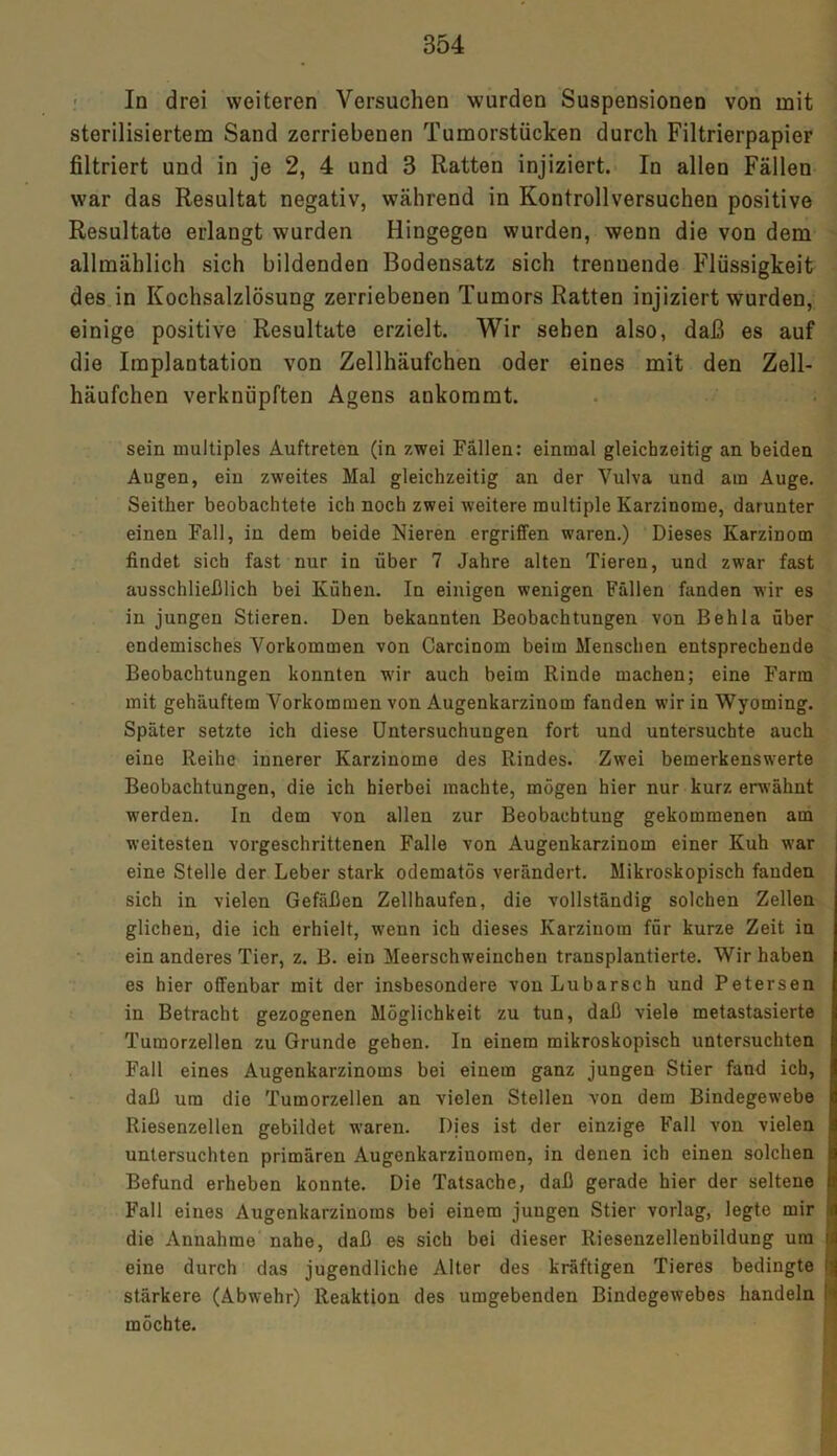 In drei weiteren Versuchen wurden Suspensionen von mit sterilisiertem Sand zerriebenen Tumorstücken durch Filtrierpapier filtriert und in je 2, 4 und 3 Ratten injiziert. In allen Fällen war das Resultat negativ, während in Kontrollversuchen positive Resultate erlangt wurden Hingegen wurden, wenn die von dem allmählich sich bildenden Bodensatz sich trennende Flüssigkeit des in Kochsalzlösung zerriebenen Tumors Ratten injiziert wurden, einige positive Resultate erzielt. Wir sehen also, daß es auf die Implantation von Zellhäufchen oder eines mit den Zell- häufchen verknüpften Agens ankommt. sein multiples Auftreten (in zwei Fällen: einmal gleichzeitig an beiden Augen, ein zweites Mal gleichzeitig an der Vulva und am Auge. Seither beobachtete ich noch zwei weitere multiple Karzinome, darunter einen Fall, in dem beide Nieren ergriffen waren.) Dieses Karzinom findet sich fast nur in über 7 Jahre alten Tieren, und zwar fast ausschließlich bei Kühen. In einigen wenigen Fällen fanden wir es in jungen Stieren. Den bekannten Beobachtungen von Behla über endemisches Vorkommen von Carcinom beim Menschen entsprechende Beobachtungen konnten wir auch beim Rinde machen; eine Farm mit gehäuftem Vorkommen von Augenkarzinom fanden wir in Wyoming. Später setzte ich diese Untersuchungen fort und untersuchte auch eine Reihe innerer Karzinome des Rindes. Zwei bemerkenswerte Beobachtungen, die ich hierbei machte, mögen hier nur kurz erwähnt werden. In dem von allen zur Beobachtung gekommenen am weitesten vorgeschrittenen Falle von Augenkarzinom einer Kuh war eine Stelle der Leber stark odematös verändert. Mikroskopisch fanden sich in vielen Gefäßen Zellhaufen, die vollständig solchen Zellen glichen, die ich erhielt, wenn ich dieses Karzinom für kurze Zeit in ein anderes Tier, z. B. ein Meerschweinchen transplantierte. Wir haben es hier offenbar mit der insbesondere vonLubarscb und Petersen in Betracht gezogenen Möglichkeit zu tun, daß viele metastasierte Tumorzellen zu Grunde gehen. In einem mikroskopisch untersuchten Fall eines Augenkarzinoms bei einem ganz jungen Stier fand ich, daß um die Tumorzellen an vielen Stellen von dem Bindegewebe Riesenzellen gebildet waren. Djes ist der einzige Fall von vielen untersuchten primären Augenkarziuomen, in denen ich einen solchen Befund erheben konnte. Die Tatsache, daß gerade hier der seltene Fall eines Augenkarzinoms bei einem jungen Stier vorlag, legte mir die Annahme nahe, daß es sich bei dieser Riesenzellenbildung um eine durch das jugendliche Alter des kräftigen Tieres bedingte l stärkere (Abwehr) Reaktion des umgebenden Bindegewebes handeln möchte.