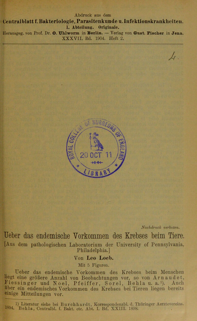 Abdruck aus dem Centralblatt f. Bakteriologie, Parasitenkunde u. Infektionskrankheiten. I. Abteilung. Originale. Herausgeg. von Prof. Dr. O. Uhlworm in Berlin. — Verlag von Gust. Fischer in Jena. XXXVII. Bd. 1904. Heft 2. M. Nachdruck verboten. Heber das endemische Vorkommen des Krebses beim Tiere. [Aus dem pathologischen Laboratorium der University of Pennsylvania, Philadelphia.] Von Leo Loeb. Mit 5 Figuren. Ueber das endemische Vorkommen des Krebses beim Menschen liegt eine größere Anzahl von Beobachtungen vor, so von Arnaudet, Fiessinger und Noel, Pfeiffer, Sorel, Behla u. a.1). Auch über ein endemisches Vorkommen des Krebses bei Tieren liegen bereits einige Mitteilungen vor. 1) Literatur siehe bei Bur ch har dt, Korrespondenzbl. d. Thüringer Aerztevereins.