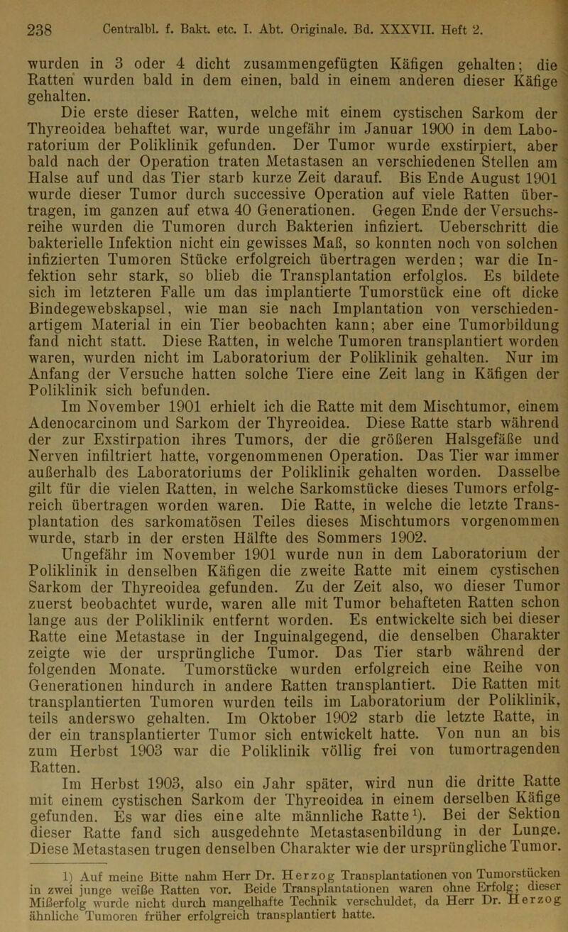 wurden in 3 oder 4 dicht zusammengefügten Käfigen gehalten; die Ratten wurden bald in dem einen, bald in einem anderen dieser Käfige gehalten. Die erste dieser Ratten, welche mit einem cystischen Sarkom der Thyreoidea behaftet war, wurde ungefähr im Januar 1900 in dem Labo- ratorium der Poliklinik gefunden. Der Tumor wurde exstirpiert, aber bald nach der Operation traten Metastasen an verschiedenen Stellen am Halse auf und das Tier starb kurze Zeit darauf. Bis Ende August 1901 wurde dieser Tumor durch successive Operation auf viele Ratten über- tragen, im ganzen auf etwa 40 Generationen. Gegen Ende der Versuchs- reihe wurden die Tumoren durch Bakterien infiziert. Ueberschritt die bakterielle Infektion nicht ein gewisses Maß, so konnten noch von solchen infizierten Tumoren Stücke erfolgreich übertragen werden; war die In- fektion sehr stark, so blieb die Transplantation erfolglos. Es bildete sich im letzteren Falle um das implantierte Tumorstück eine oft dicke Bindegewebskapsel, wie man sie nach Implantation von verschieden- artigem Material in ein Tier beobachten kann; aber eine Tumorbildung fand nicht statt. Diese Ratten, in welche Tumoren transplantiert worden waren, wurden nicht im Laboratorium der Poliklinik gehalten. Nur im Anfang der Versuche hatten solche Tiere eine Zeit lang in Käfigen der Poliklinik sich befunden. Im November 1901 erhielt ich die Ratte mit dem Mischtumor, einem Adenocarcinom und Sarkom der Thyreoidea. Diese Ratte starb während der zur Exstirpation ihres Tumors, der die größeren Halsgefäße und Nerven infiltriert hatte, vorgenommenen Operation. Das Tier war immer außerhalb des Laboratoriums der Poliklinik gehalten worden. Dasselbe gilt für die vielen Ratten, in welche Sarkomstücke dieses Tumors erfolg- reich übertragen worden waren. Die Ratte, in welche die letzte Trans- plantation des sarkomatösen Teiles dieses Mischtumors vorgenommen wurde, starb in der ersten Hälfte des Sommers 1902. Ungefähr im November 1901 wurde nun in dem Laboratorium der Poliklinik in denselben Käfigen die zweite Ratte mit einem cystischen Sarkom der Thyreoidea gefunden. Zu der Zeit also, wo dieser Tumor zuerst beobachtet wurde, waren alle mit Tumor behafteten Ratten schon lange aus der Poliklinik entfernt worden. Es entwickelte sich bei dieser Ratte eine Metastase in der Inguinalgegend, die denselben Charakter zeigte wie der ursprüngliche Tumor. Das Tier starb während der folgenden Monate. Tumorstücke wurden erfolgreich eine Reihe von Generationen hindurch in andere Ratten transplantiert. Die Ratten mit transplantierten Tumoren wurden teils im Laboratorium der Poliklinik, teils anderswo gehalten. Im Oktober 1902 starb die letzte Ratte, in der ein transplantierter Tumor sich entwickelt hatte. Von nun an bis zum Herbst 1903 war die Poliklinik völlig frei von tumortragenden Ratten. Im Herbst 1903, also ein Jahr später, wird nun die dritte Ratte mit einem cystischen Sarkom der Thyreoidea in einem derselben Käfige gefunden. Es war dies eine alte männliche Ratte1). Bei der Sektion dieser Ratte fand sich ausgedehnte Metastasenbildung in der Lunge. Diese Metastasen trugen denselben Charakter wie der ursprüngliche Tumor. 1) Auf meine Bitte nahm Herr Dr. Herzog Transplantationen von Tumorstücken in zwei junge weiße Ratten vor. Beide Transplantationen waren ohne Erfolg; dieser Mißerfolg wurde nicht durch mangelhafte Technik verschuldet, da Herr Dr. Herzog ähnliche Tumoren früher erfolgreich transplantiert hatte.