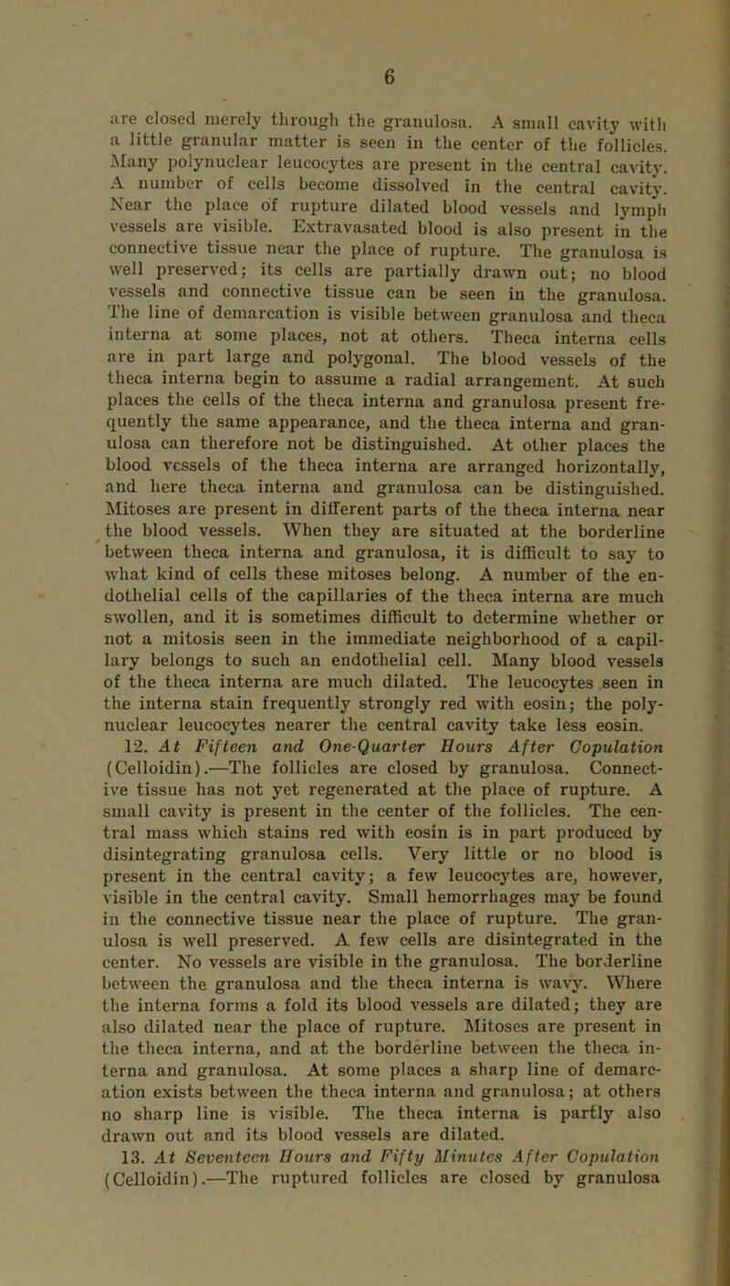 are closed merely through the granulosa. A small cavity with a little granular matter is seen in the center of the follicles. Many polynuclear leucocytes are present in the central cavity. A number of cells become dissolved in the central cavity. Near the place of rupture dilated blood vessels and lymph vessels are visible. Extravasated blood is also present in the connective tissue near the place of rupture. The granulosa is well preserved; its cells are partially drawn out; no blood vessels and connective tissue can be seen in the granulosa. The line of demarcation is visible between granulosa and theca interna at some places, not at others. Theca interna cells are in part large and polygonal. The blood vessels of the theca interna begin to assume a radial arrangement. At such places the cells of the theca interna and granulosa present fre- quently the same appearance, and the theca interna and gran- ulosa can therefore not be distinguished. At other places the blood vessels of the theca interna are arranged horizontally, and here theca interna and granulosa can be distinguished. Mitoses are present in different parts of the theca interna near the blood vessels. When they are situated at the borderline between theca interna and granulosa, it is difficult to say to what kind of cells these mitoses belong. A number of the en- dothelial cells of the capillaries of the theca interna are much swollen, and it is sometimes difficult to determine whether or not a mitosis seen in the immediate neighborhood of a capil- lary belongs to such an endothelial cell. Many blood vessels of the theca interna are much dilated. The leucocytes seen in the interna stain frequently strongly red with eosin; the poly- nuclear leucocytes nearer the central cavity take less eosin. 12. At Fifteen and One-Quarter Hours After Copulation (Celloidin).—The follicles are closed by granulosa. Connect- ive tissue has not yet regenerated at the place of rupture. A small cavity is present in the center of the follicles. The cen- tral mass which stains red with eosin is in part produced by disintegrating granulosa cells. Very little or no blood is present in the central cavity; a few leucocytes are, however, visible in the central cavity. Small hemorrhages may be foimd in the connective tissue near the place of rupture. The gran- ulosa is well preserved. A few cells are disintegrated in the center. No vessels are visible in the granulosa. The borderline between the granulosa and the theca interna is wavy. Where the interna forms a fold its blood vessels are dilated; they are also dilated near the place of rupture. Mitoses are present in the theca interna, and at the borderline between the theca in- terna and granulosa. At some places a sharp line of demarc- ation exists between the theca interna and granulosa; at others no sharp line is visible. The theca interna is partly also drawn out and its blood vessels are dilated. 13. At Seventeen Hours and Fifty Minutes After Copulation (Celloidin).—The ruptured follicles are closed by granulosa