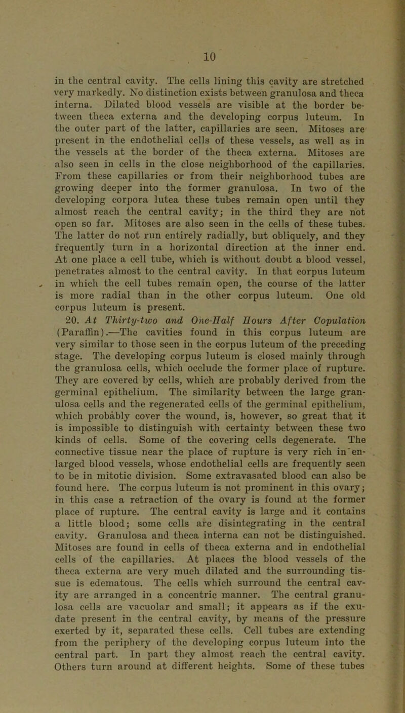 in the central cavity. The cells lining this cavity are stretched very markedly. No distinction exists between granulosa and theca interna. Dilated blood vessels are visible at the border be- tween theca externa and the developing corpus luteum. In the outer part of the latter, capillaries are seen. Mitoses are present in the endothelial cells of these vessels, as well as in the vessels at the border of the theca externa. Mitoses are also seen in cells in the close neighborhood of the capillaries. From these capillaries or from their neighborhood tubes are growing deeper into the former granulosa. In two of the developing corpora lutea these tubes remain open until they almost reach the central cavity; in the third they are not open so far. Mitoses are also seen in the cells of these tubes. The latter do not run entirely radially, but obliquely, and they frequently turn in a horizontal direction at the inner end. At one place a cell tube, which is without doubt a blood vessel, penetrates almost to the central cavity. In that corpus luteum „ in which the cell tubes remain open, the course of the latter is more radial than in the other corpus luteum. One old corpus luteum is present. 20. At Tliirty-two and One-Half Hours After Copulation (Paraffin).-—The cavities found in this corpus luteum are very similar to those seen in the corpus luteum of the preceding stage. The developing corpus luteum is closed mainly through the granulosa cells, which occlude the former place of rupture. They are covered by cells, which are probably derived from the germinal epithelium. The similarity between the large gran- ulosa cells and the regenerated cells of the germinal epithelium, which probably cover the wound, is, however, so great that it is impossible to distinguish with certainty between these two kinds of cells. Some of the covering cells degenerate. The connective tissue near the place of rupture is very rich in'en- larged blood vessels, whose endothelial cells are frequently seen to be in mitotic division. Some extravasated blood can also be found here. The corpus luteum is not prominent in this ovary; in this case a retraction of the ovary is found at the former place of rupture. The central cavity is large and it contains a little blood; some cells are disintegrating in the central cavity. Granulosa and theca interna can not be distinguished. Mitoses are found in cells of theca externa and in endothelial cells of the capillaries. At places the blood vessels of the theca externa are very much dilated and the surrounding tis- sue is edematous. The cells which surround the central cav- ity are arranged in a concentric manner. The central granu- losa cells are vacuolar and small; it appears as if the exu- date present in the central cavity, by means of the pressure exerted by it, separated these cells. Cell tubes are extending from the periphery of the developing corpus luteum into the central part. In part they almost reach the central cavity. Others turn around at different heights. Some of these tubes
