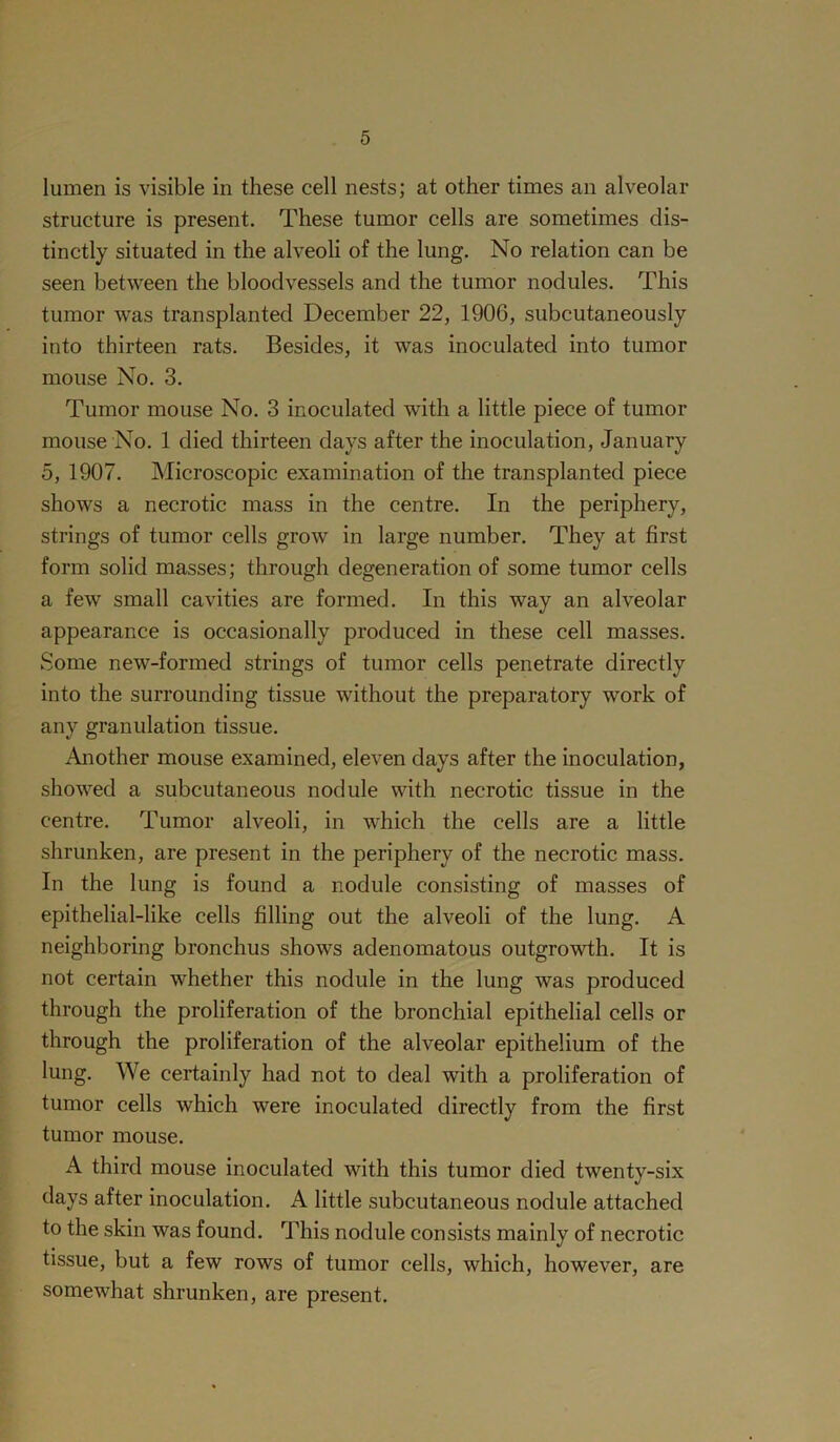 lumen is visible in these cell nests; at other times an alveolar structure is present. These tumor cells are sometimes dis- tinctly situated in the alveoli of the lung. No relation can be seen between the bloodvessels and the tumor nodules. This tumor was transplanted December 22, 1906, subcutaneously into thirteen rats. Besides, it was inoculated into tumor mouse No. 3. Tumor mouse No. 3 inoculated with a little piece of tumor mouse No. 1 died thirteen days after the inoculation, January 5, 1907. Microscopic examination of the transplanted piece shows a necrotic mass in the centre. In the periphery, strings of tumor cells grow in large number. They at first form solid masses; through degeneration of some tumor cells a few small cavities are formed. In this way an alveolar appearance is occasionally produced in these cell masses. Some new-formed strings of tumor cells penetrate directly into the surrounding tissue without the preparatory work of any granulation tissue. Another mouse examined, eleven days after the inoculation, showed a subcutaneous nodule with necrotic tissue in the centre. Tumor alveoli, in which the cells are a little shrunken, are present in the periphery of the necrotic mass. In the lung is found a nodule consisting of masses of epithelial-like cells filling out the alveoli of the lung. A neighboring bronchus shows adenomatous outgrowth. It is not certain whether this nodule in the lung was produced through the proliferation of the bronchial epithelial cells or through the proliferation of the alveolar epithelium of the lung. We certainly had not to deal with a proliferation of tumor cells which were inoculated directly from the first tumor mouse. A third mouse inoculated with this tumor died twenty-six days after inoculation. A little subcutaneous nodule attached to the skin was found. This nodule consists mainly of necrotic tissue, but a few rows of tumor cells, which, however, are somewhat shrunken, are present.