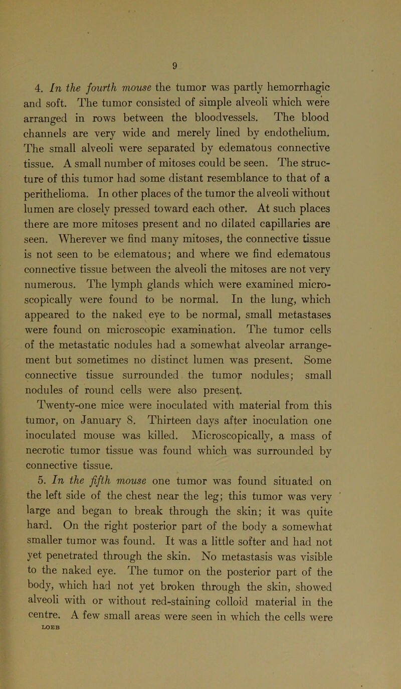 4. In the fourth mouse the tumor was partly hemorrhagic and soft. The tumor consisted of simple alveoli which were arranged in rows between the bloodvessels. The blood channels are very wide and merely lined by endothelium. The small alveoli were separated by edematous connective tissue. A small number of mitoses could be seen. The struc- ture of this tumor had some distant resemblance to that of a perithelioma. In other places of the tumor the alveoli without lumen are closely pressed toward each other. At such places there are more mitoses present and no dilated capillaries are seen. Wherever we find many mitoses, the connective tissue is not seen to be edematous; and where we find edematous connective tissue between the alveoli the mitoses are not very numerous. The lymph glands 'which were examined micro- scopically were found to be normal. In the lung, which appeared to the naked eye to be normal, small metastases were found on microscopic examination. The tumor cells of the metastatic nodules had a somewhat alveolar arrange- ment but sometimes no distinct lumen was present. Some connective tissue surrounded the tumor nodules; small nodules of round cells were also present. Twenty-one mice were inoculated with material from this tumor, on January 8. Thirteen days after inoculation one inoculated mouse was killed. Microscopically, a mass of necrotic tumor tissue was found which was surrounded by connective tissue. 5. In the fifth mouse one tumor was found situated on the left side of the chest near the leg; this tumor was very large and began to break through the skin; it was quite hard. On the right posterior part of the body a somewhat smaller tumor -was found. It was a little softer and had not yet penetrated through the skin. No metastasis was visible to the naked eye. The tumor on the posterior part of the body, which had not yet broken through the skin, showed alveoli with or without red-staining colloid material in the centre. A few small areas were seen in which the cells were LOEB
