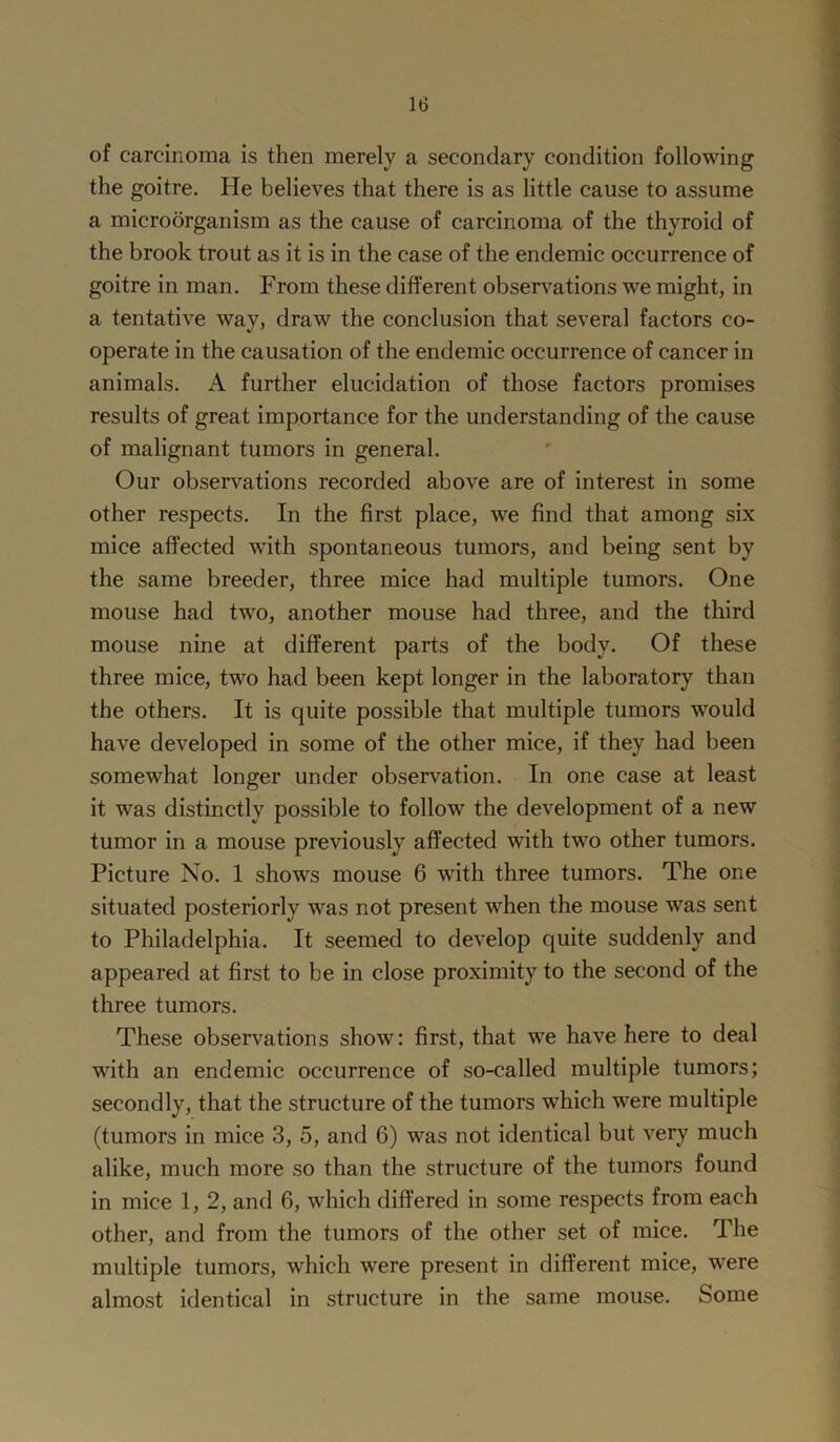 of carcinoma is then merely a secondary condition following the goitre. He believes that there is as little cause to assume a microorganism as the cause of carcinoma of the thyroid of the brook trout as it is in the case of the endemic occurrence of goitre in man. From these different observations we might, in a tentative way, draw the conclusion that several factors co- operate in the causation of the endemic occurrence of cancer in animals. A further elucidation of those factors promises results of great importance for the understanding of the cause of malignant tumors in general. Our observations recorded above are of interest in some other respects. In the first place, we find that among six mice affected with spontaneous tumors, and being sent by the same breeder, three mice had multiple tumors. One mouse had two, another mouse had three, and the third mouse nine at different parts of the body. Of these three mice, two had been kept longer in the laboratory than the others. It is quite possible that multiple tumors would have developed in some of the other mice, if they had been somewhat longer under observation. In one case at least it was distinctly possible to follow the development of a new tumor in a mouse previously affected with two other tumors. Picture No. 1 shows mouse 6 with three tumors. The one situated posteriorly was not present when the mouse was sent to Philadelphia. It seemed to develop quite suddenly and appeared at first to be in close proximity to the second of the three tumors. These observations show: first, that we have here to deal with an endemic occurrence of so-called multiple tumors; secondly, that the structure of the tumors which were multiple (tumors in mice 3, 5, and 6) was not identical but very much alike, much more so than the structure of the tumors found in mice 1, 2, and 6, which differed in some respects from each other, and from the tumors of the other set of mice. The multiple tumors, which were present in different mice, were almost identical in structure in the same mouse. Some