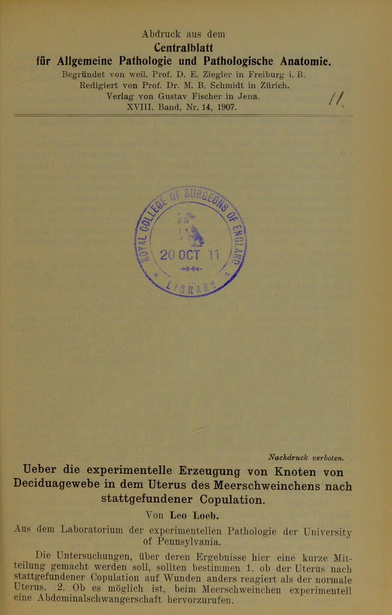 Abdruck aus dem Centralblatt für Allgemeine Pathologie und Pathologische Anatomie. Begründet von weil. Prof. D. E. Ziegler in Freiburg i. B. Redigiert von Prof. Dr. M. B. Schmidt in Zürich. Verlag von Gustav Fischer in Jena. XVIII. Band, Nr. 14, 1907. Nachdruck verboten. Ueber die experimentelle Erzeugung von Knoten von Deciduagewebe in dem Uterus des Meerschweinchens nach stattgefundener Copulation. Von Leo Loeb. Aus dem Laboratorium der experimentellen Pathologie der University of Pennsylvania. Die Untersuchungen, über deren Ergebnisse hier eine kurze Mit- teilung gemacht werden soll, sollten bestimmen 1. ob der Uterus nach stattgefundener Copulation auf Wunden anders reagiert als der normale Uterus. 2. Ob es möglich ist, beim Meerschweinchen experimentell eine Abdominalschwangerschaft hervorzurufen.