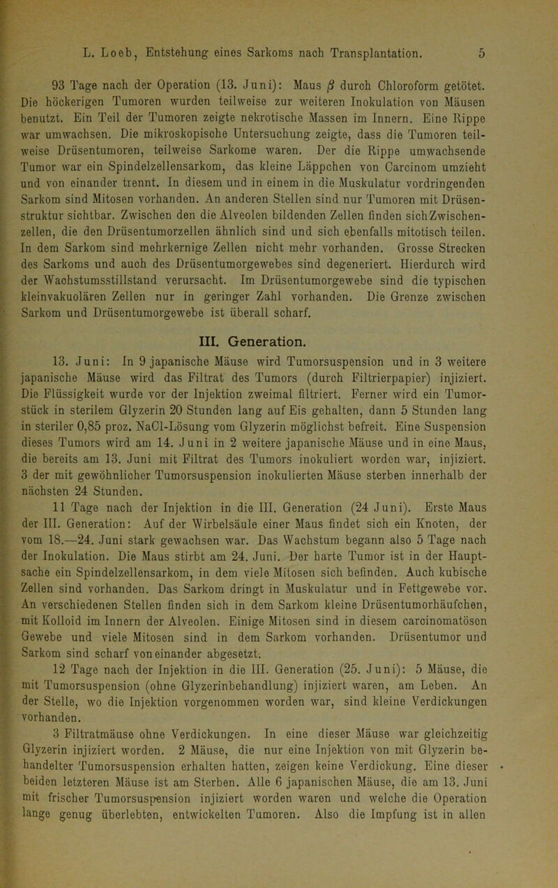 93 Tage nach der Operation (13. Juni): Maus ß durch Chloroform getötet. Die höckerigen Tumoren wurden teilweise zur weiteren Inokulation von Mäusen benutzt. Ein Teil der Tumoren zeigte nekrotische Massen im Innern. Eine Rippe war umwachsen. Die mikroskopische Untersuchung zeigte, dass die Tumoren teil- weise Drüsentumoren, teilweise Sarkome waren. Der die Rippe umwachsende Tumor war ein Spindelzellensarkom, das kleine Läppchen von Carcinom umzieht und von einander trennt. In diesem und in einem in die Muskulatur vordringenden Sarkom sind Mitosen vorhanden. An anderen Stellen sind nur Tumoren mit Drüsen- struktur sichtbar. Zwischen den die Alveolen bildenden Zellen finden sich Zwischen- zellen, die den Drüsentumorzellen ähnlich sind und sich ebenfalls mitotisch teilen. In dem Sarkom sind mehrkernige Zellen nicht mehr vorhanden. Grosse Strecken des Sarkoms und auch des Drüsentumorgewebes sind degeneriert. Hierdurch wird der Wachstumsstillstand verursacht. Im Drüsentumorgewebe sind die typischen kleinvakuolären Zellen nur in geringer Zahl vorhanden. Die Grenze zwischen Sarkom und Drüsentumorgewebe ist überall scharf. III. Generation. 13. Juni: In 9 japanische Mäuse wird Tumorsuspension und in 3 weitere japanische Mäuse wird das Filtrat des Tumors (durch Filtrierpapier) injiziert. Die Flüssigkeit wurde vor der Injektion zweimal filtriert. Ferner wird ein Tumor- stück in sterilem Glyzerin 20 Stunden lang auf Eis gehalten, dann 5 Stunden lang in steriler 0,85 proz. NaCl-Lösung vom Glyzerin möglichst befreit. Eine Suspension dieses Tumors wird am 14. Juni in 2 weitere japanische Mäuse und in eine Maus, die bereits am 13. Juni mit Filtrat des Tumors inokuliert worden war, injiziert. 3 der mit gewöhnlicher Tumorsuspension inokulierten Mäuse sterben innerhalb der nächsten 24 Stunden. 11 Tage nach der Injektion in die III. Generation (24 Juni). Erste Maus der III. Generation: Auf der Wirbelsäule einer Maus findet sich ein Knoten, der vom 18.—24. Juni stark gewachsen war. Das Wachstum begann also 5 Tage nach der Inokulation. Die Maus stirbt am 24. Juni. Der harte Tumor ist in der Haupt- sache ein Spindelzellensarkom, in dem viele Mitosen sich befinden. Auch kubische Zellen sind vorhanden. Das Sarkom dringt in Muskulatur und in Fettgewebe vor. An verschiedenen Stellen finden sich in dem Sarkom kleine Drüsentumorhäufchen, mit Kolloid im Innern der Alveolen. Einige Mitosen sind in diesem carcinomatösen Gewebe und viele Mitosen sind in dem Sarkom vorhanden. Drüsentumor und Sarkom sind scharf voneinander abgesetzt. 12 Tage nach der Injektion in die III. Generation (25. Juni): 5 Mäuse, die mit Tumorsuspension (ohne Glyzerinbehandlung) injiziert waren, am Leben. An der Stelle, wo die Injektion vorgenommen worden war, sind kleine Verdickungen vorhanden. 3 Filtratmäuse ohne Verdickungen. In eine dieser Mäuse war gleichzeitig Glyzerin injiziert worden. 2 Mäuse, die nur eino Injektion von mit Glyzerin be- handelter Tumorsuspension erhalten hatten, zeigen keine Verdickung. Eine dieser beiden letzteren Mäuse ist am Sterben. Alle 6 japanischen Mäuse, die am 13. Juni mit frischer Tumorsuspension injiziert worden waren und welche die Operation lange genug überlebten, entwickelten Tumoren. Also die Impfung ist in allen