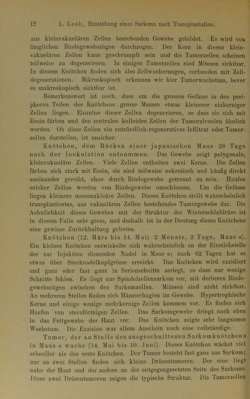 aus kleinvakuolären Zellen bestehenden Gewebe gebildet. Es wird von länglichen Bindegewebsziigen durchzogen. Der Kern in diesen klein- vakuolären Zellen kann geschrumpft sein und die Tumorzellen scheinen teilweise zu degenerieren. In einigen Tumorzellen sind Mitosen sichtbar. In diesem Knötchen finden sich also Zellwucherungen, verbunden mit Zell- degenerationen. Mikroskopisch erkennen wir hier Tumorwachstum, bevor es makroskopisch sichtbar ist. Bemerkenswert ist noch, dass um die grossen Gefässe in den peri- pheren Teilen des Knötchens grosse Massen etwas kleinerer einkerniger Zellen liegen. Einzelne dieser Zellen degenerieren, so dass sie sich mit Eosin färben und den zentralen kolloiden Zellen der Tumoralveolen ähnlich werden. Ob diese Zellen ein entzündlich-regeneratives Infiltrat oder Tumor- zellen darstellen, ist unsicher. Knötchen, dem Rücken einer japanischen Maus 28 Tage nach der Inokulation entnommen. Das Gewebe zeigt polygonale, kleinvakuoläre Zellen. Viele Zellen enthalten zwei Kerne. Die Zellen färben sich stark mit Eosin, sie sind teilweise nekrotisch und häufig direkt aneinander gereiht, ohne durch Bindegewebe getrennt zu sein. Haufen solcher Zellen werden von Bindegewebe umschlossen. Um die Gefässe liegen kleinere mononukleäre Zellen. Dieses Knötchen stellt wahrscheinlich transplantiertes, aus vakuolären Zellen bestehendes Tumorgewebe dar. Die Aehnlichkeit dieses Gew'ebes mit der Struktur der Winterschlafdrüse ist in diesem Falle sehr gross, und deshalb ist in der Deutung dieses Knötchens eine gewisse Zurückhaltung geboten. Knötchen (12. März bis 14. Mai; 2 Monate, 2 Tage, Maus a). Ein kleines Knötchen entwickelte sich wahrscheinlich an der Einstichstelle der zur Injektion dienenden Nadel in Maus a; nach 62 Tagen hat es etwas über Stecknadelkopfgrösse erreicht. Das Knötchen wird exzidiert und ganz oder fast ganz in Serienschnitte zerlegt, so dass nur wenige Schnitte fehlen. Es liegt nur Spindelzellensarkom vor, mit derberen Binde- gewebszügen zwischen den Sarkomzellen. Mitosen sind nicht sichtbar. An mehreren Stellen finden sich Hämorrhagien im Gewebe. Hypertrophische Kerne und einige wenige mehrkernige Zellen kommen vor. Es finden sich Haufen von sternförmigen Zellen. Das Sarkomgewebe dringt nach oben in das Fettgewebe der Haut vor. Das Knötchen zeigte sehr langsames Wachstum. Die Exzision war allem Anschein nach eine vollständige. Tumor, der an Stelle des ausgeschnittenen Sarkomknötchens in Maus a wuchs (14. Mai bis 10. Juni). Dieses Knötchen wächst viel schneller als das erste Knötchen. Der Tumor besteht fast ganz aus Sarkom; nur an zwei Stellen finden sich kleine Drüsentumoren. Der eine liegt nahe der Haut und der andere an der entgegengesetzten Seite des Sarkoms. Diese zwei Drüsentumoren zeigen die typische Struktur. Die 'lumorzellen