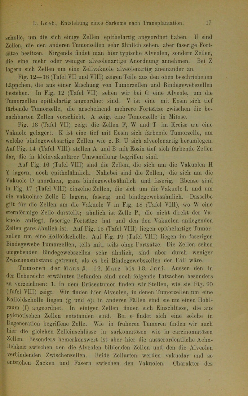 schölle, um die sich einige Zellen epithelartig angeordnet haben. U sind Zellen, die den anderen Tumorzellen sehr ähnlich sehen, aber faserige Fort- sätze besitzen. Nirgends findet mau hier typische Alveolen, sondern Zellen, die eine mehr oder weniger alveolenartige Anordnung annehmen. Bei Z lagern sich Zellen um eine Zellvakuole alveolenartig aneinander an. Fig. 12—18 (Tafel VII und VIII) zeigen Teile aus den oben beschriebenen Läppchen, die aus einer Mischung von Tumorzellen und Bindegewebszellen bestehen. In Fig. 12 (Tafel VII) sehen wir bei G eine Alveole, um die Tumorzellen epithelartig angeordnet sind. V ist eine mit Eosin sich tief färbende Tumorzelle, die anscheinend mehrere Fortsätze zwischen die be- nachbarten Zellen vorschiebt. A zeigt eine Tumorzelle in Mitose. Fig. 13 (Tafel VII) zeigt die Zellen F, W und T im Kreise um eine Vakuole gelagert. K ist eine tief mit Eosin sich färbende Tumorzelle, um welche bindegewebsartige Zellen wie z. B. U sich alveolenartig herumlegen. Auf Fig. 14 (Tafel VIII) stellen A und B mit Eosin tief sich färbende Zellen dar, die in kleinvakuolärer Umwandlung begriffen sind. Auf Fig. 16 (Tafel VIII) sind die Zellen, die sich um die Vakuolen H Y lagern, noch epithelähnlich. Nahebei sind die Zellen, die sich um die Vakuole D anordnen, ganz bindegewebsähnlich und faserig. Ebenso sind in Fig. 17 (Tafel VIII) einzelne Zellen, die sich um die Vakuole L und um die vakuoläre Zelle E lagern, faserig und bindegewebsähnlich. Dasselbe gilt für die Zellen um die Vakuole V in Fig. 18 (Tafel VIII), wo W eine sternförmige Zelle darstellt; ähnlich ist Zelle P, die nicht direkt der Va- kuole anliegt, faserige Fortsätze hat und den den Vakuolen anliegenden Zellen ganz ähnlich ist. Auf Fig. 15 (Tafel VIII) liegen epithelartige Tumor- zellen um eine Kolloidscholle. Auf Fig. 19 (Tafel VIII) liegen im faserigen Bindegewebe Tumorzellen, teils mit, teils ohne Fortsätze. Die Zellen sehen umgebenden Bindegewebszellen sehr ähnlich, sind aber durch weniger Zwischensubstanz getrennt, als es bei Bindegewebszellen der Fall wäre. Tumoren der Maus ß. 12. März bis 13. Juni. Ausser den in der Uebersicht erwähnten Befunden sind noch folgende Tatsachen besonders zu verzeichnen: 1. In dem Drüsentumor finden wir Stellen, wie sie Fig. 20 (Tafel VIII) zeigt. Wir finden hier Alveolen, in denen Tumorzellen um eine Kolloidscholle liegen (g und e); in anderen Fällen sind sie um einen Hohl- raum (f) angeordnet. In einigen Zellen finden sich Einschlüsse, die aus pyknotischen Zellen entstanden sind. Bei e findet sich eine solche in Degeneration begriffene Zelle. Wie in früheren Tumoren finden wir auch hier die gleichen Zelleinschiiisse in sarkomatösen wie in carcinomatösen Zellen. Besonders bemerkenswert ist aber hier die ausserordentliche Aehn- lichkeit zwischen den die Alveolen bildenden Zellen und den die Alveolen verbindenden Zwischenzellen. Beide Zellarten werden vakuolür und so entstehen Zacken und Fasern zwischen den Vakuolen. Charakter des
