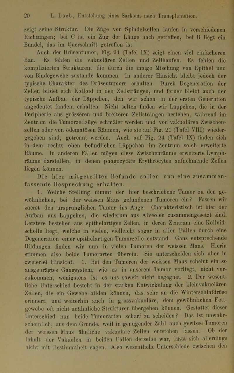 zeigt seine Struktur. Die Züge von Spindelzellen laufen in verschiedenen Richtungen; bei C ist ein Zug der Länge nach getroffen, bei B liegt ein Bündel, das im Querschnitt getroffen ist. Auch der Drüsentumor, Fig. 24 (Tafel IX) zeigt einen viel einfacheren Bau. Es fehlen die vakuolären Zellen und Zellhaufen. Es fehlen die komplizierten Strukturen, die durch die innige Mischung von Epithel und von Bindegewebe zustande kommen. In anderer Hinsicht bleibt jedoch der typische Charakter des Drüsentumors erhalten. Durch Degeneration der Zellen bildet sich Kolloid in den Zellsträngen, und ferner bleibt auch der typische Aufbau der Läppchen, den wir schon in der ersten Generation angedeutet fanden, erhalten. Nicht selten finden wir Läppchen, die in der Peripherie aus grösseren und breiteren Zellsträngen bestehen, während im Zentrum die Tumorzellzüge schmäler werden und von vakuolären Zwischen- zellen oder von ödematösen Räumen, wie sie auf Fig. 21 (Tafel VIII) wieder- gegeben sind, getrennt werden. Auch auf Fig. 24 (Tafel IX) finden sich iu dem rechts oben befindlichen Läppchen im Zentrum solch erweiterte Räume. In anderen Fällen mögen diese Zwischenräume erweiterte Lympli- räume darstellen, in denen phagocytäre Erythrocyten aufnehmende Zellen liegen können. Die hier mitgeteilten Befunde sollen nun eine zusammen- fassende Besprechung erhalten. 1. Welche Stellung nimmt der hier beschriebene Tumor zu den ge- wöhnlichen, bei der weissen Maus gefundenen Tumoren ein? Fassen wir zuerst den ursprünglichen Tumor ins Auge. Charakteristisch ist hier der Aufbau aus Läppchen, die wiederum aus Alveolen zusammengesetzt sind. Letztere bestehen aus epithelartigen Zellen, in deren Zentrum eine Kolloid- scholle liegt, welche in vielen, vielleicht sogar in allen Fällen durch eine Degeneration einer epithelartigen Tumorzelle entstand. Ganz entsprechende Bildungen finden wir nun in vielen Tumoren der weissen Maus. Hierin stimmen also beide Tumorarten überein. Sie unterscheiden sich aber in zweierlei Hinsicht. 1. Bei den Tumoren der weissen Maus scheint ein so ausgeprägtes Gangsystem, wie es in unserem Tumor vorliegt, nicht vor- zukommen, wenigstens ist es uns soweit nicht begegnet. 2. Der wesent- liche Unterschied besteht in der starken Entwickelung der kleinvakuolären Zellen, die ein Gewebe bilden können, das. sehr an die W interschlafdrüse erinnert, und weiterhin auch in grossvakuoläre, dem gewöhnlichen Fett- gewebe oft nicht unähnliche Strukturen übergehen können. Gestattet dieser Unterschied nun beide Tumorarten scharf zu scheiden? Das ist unwahr- scheinlich, aus dem Grunde, weil in genügender Zahl auch getvisse Tumoren der weissen Maus ähnliche vakuoläre Zellen entstehen lassen. Ob der Inhalt der Vakuolen in beiden Fällen derselbe war, lässt sich allerdings nicht mit Bestimmtheit sagen. Also wesentliche Interschiede zwischen den