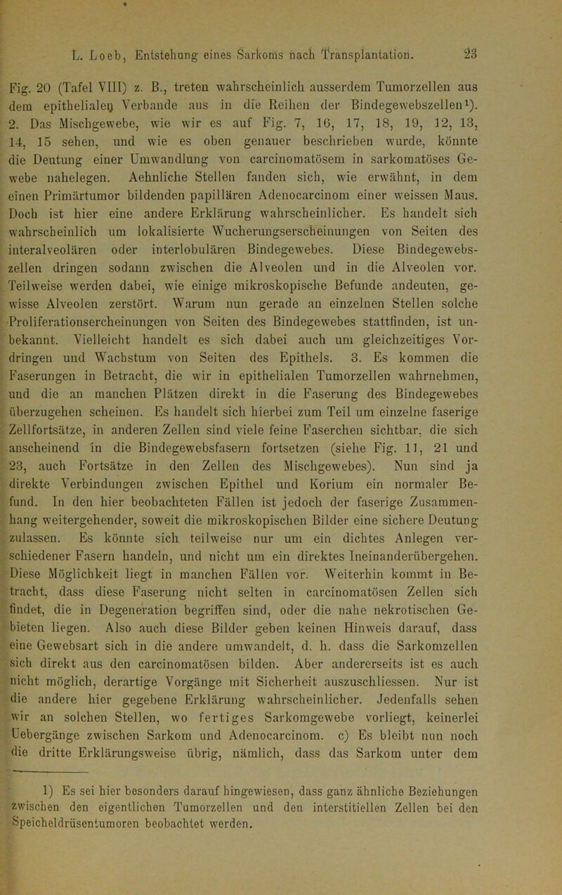 Fig. 20 (Tafel VIII) z. B., treten wahrscheinlich ausserdem Tumorzellen aus dem epitheliale^ Verbände aus in die Reihen der Bindegewebszellen1). 2. Das Mischgewebe, wie wir es auf Fig. 7, IG, 17, 18, 19, 12, 13, 14, 15 sehen, und wie es oben genauer beschrieben wurde, könnte die Deutung einer Umwandlung von carcinomatösem in sarkomatöses Ge- webe nahelegen. Aehnliche Stellen fanden sich, wie erwähnt, in dem einen Primärtumor bildenden papillären Adenocarcinom einer weissen Maus. Doch ist hier eine andere Erklärung wahrscheinlicher. Es handelt sich wahrscheinlich um lokalisierte Wucherungserscheinungen von Seiten des interalveolären oder interlobulären Bindegewebes. Diese Bindegewebs- zellen dringen sodann zwischen die Alveolen und in die Alveolen vor. Teilweise werden dabei, wie einige mikroskopische Befunde andeuten, ge- wisse Alveolen zerstört. Warum nun gerade an einzelnen Stellen solche Proliferationsercheinungen von Seiten des Bindegewebes stattfinden, ist un- bekannt. Vielleicht handelt es sich dabei auch um gleichzeitiges Vor- dringen und Wachstum von Seiten des Epithels. 3. Es kommen die Faserungen in Betracht, die wir in epithelialen Tumorzellen wahrnehmen, und die an manchen Plätzen direkt in die Faserung des Bindegewebes überzugehen scheinen. Es handelt sich hierbei zum Teil um einzelne faserige Zellfortsätze, in anderen Zellen sind viele feine Faserchen sichtbar, die sich anscheinend in die Bindegewebsfasern fortsetzen (siehe Fig. 11, 21 und 23, auch Fortsätze in den Zellen des Mischgewebes). Nun sind ja direkte Verbindungen zwischen Epithel und Korium ein normaler Be- fund. In den hier beobachteten Fällen ist jedoch der faserige Zusammen- hang weitergehender, soweit die mikroskopischen Bilder eine sichere Deutung zulassen. Es könnte sich teilweise nur um ein dichtes Anlegen ver- schiedener Fasern handeln, und nicht um ein direktes Ineinanderübergehen. Diese Möglichkeit liegt in manchen Fällen vor. Weiterhin kommt in Be- tracht, dass diese Faserung nicht selten in carcinomatösen Zellen sich findet, die in Degeneration begriffen sind, oder die nahe nekrotischen Ge- bieten liegen. Also auch diese Bilder geben keinen Hinweis darauf, dass eine Gewebsart sich in die andere umwandelt, d. h. dass die Sarkomzellen sich direkt aus den carcinomatösen bilden. Aber andererseits ist es auch nicht möglich, derartige Vorgänge mit Sicherheit auszuschliesseu. Nur ist die andere hier gegebene Erklärung wahrscheinlicher. Jedenfalls sehen wir an solchen Stellen, wo fertiges Sarkomgewebe vorliegt, keinerlei Uebergänge zwischen Sarkom und Adenocarcinom. c) Es bleibt nun noch die dritte Erklärungsweise übrig, nämlich, dass das Sarkom unter dem 1) Es sei hier besonders darauf hingewiesen, dass ganz ähnliche Beziehungen zwischen den eigentlichen Tumorzellen und den interstitiellen Zellen bei den Speicheldrüsentumoren beobachtet werden.