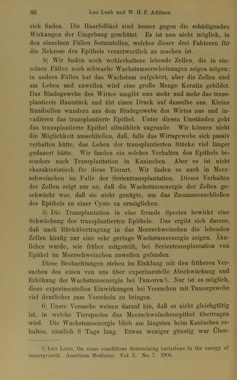 sich finden. Die Haarfollikel sind besser gegen die schädigenden Wirkungen der Umgebung geschützt. Es ist nun nicht möglich, in den einzelnen Fällen festzustellen, welcher dieser drei Faktoren für die Nekrose des Epithels verantwortlich zu machen ist. b) Wir finden noch wohlerhaltene lebende Zellen, die in ein- zelnen Fällen noch schwache Wachstumserscheinungen zeigen mögen; in andern Fällen hat das Wachstum aufgehört, aber die Zellen sind am Leben und zuweilen wird eine große Menge Keratin gebildet. Das Bindegewebe des Wirtes umgibt nun mehr und mehr das trans- plantierte Hautstück und übt einen Druck auf dasselbe aus. Kleine Rundzellen wandern aus dem Bindegewebe des Wirtes aus und in- vadieren das transplantierte Epithel. Unter diesen Umständen geht das transplantierte Epithel allmählich zugrunde. Wir können nicht die Möglichkeit ausschließen, daß, falls das Wirtsgewebe sich passiv verhalten hätte, das Leben der transplantierten Stücke viel länger gedauert hätte. Wir fanden ein solches Verhalten des Epithels be- sonders nach Transplantation in Kaninchen. Aber es ist nicht charakteristisch für diese Tierart. Wir finden es auch in Meer- schweinchen im Falle der Serientransplantation. Dieses Verhalten der Zellen zeigt nur an, daß die Wachstumsenergie der Zellen ge- schwächt war, daß sie nicht genügte, um das Zusammenschließen des Epithels zu einer Cyste zu ermöglichen. 5) Die Transplantation in eine fremde Species bewirkt eine Schwächung des transplantierten Epithels. Das ergibt sich daraus, daß nach Rtickübertragung in das Meerschweinchen die lebenden Zellen häufig nur eine sehr geringe Wachstumsenergie zeigen. Ähn- liches wurde, wie früher mitgeteilt, bei Serientransplantation von Epithel im Meerschweinchen zuweilen gefunden. Diese Beobachtungen stehen im Einklang mit den früheren Ver- suchen des einen von uns über experimentelle Abschwächung und Erhöhung der Wachstumsenergie bei Tumoren1). Nur ist es möglich, diese experimentellen Einwirkungen bei Versuchen mit Tumorgewebe viel deutlicher zum Vorschein zu bringen. 6) Unsre Versuche weisen darauf hin, daß es nicht gleichgültig ist, in welche Tierspecies das Meerschweinchenepithel übertragen wird. Die Wachstumsenergie blieb am längsten beim Kaninchen er- halten, nämlich 8 Tage lang. Etwas weniger günstig war Uber- !) Leo Loeb, On some conditions determining variatious in the energy of tumorgrowth. American Medicine. Vol. X. No. 7. 1905.