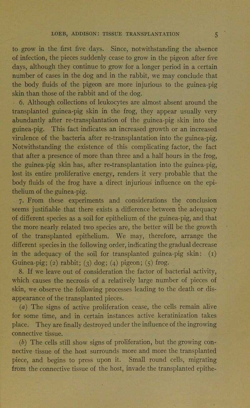 to grow in the first five days. Since, notwithstanding the absence of infection, the pieces suddenly cease to grow in the pigeon after five days, although they continue to grow for a longer period in a certain number of cases in the dog and in the rabbit, we may conclude that the body fluids of the pigeon are more injurious to the guinea-pig skin than those of the rabbit and of the dog. 6. Although collections of leukocytes are almost absent around the transplanted guinea-pig skin in the frog, they appear usually very abundantly after re-transplantation of the guinea-pig skin into the guinea-pig. This fact indicates an increased growth or an increased virulence of the bacteria after re-transplantation into the guinea-pig. Notwithstanding the existence of this complicating factor, the fact that after a presence of more than three and a half hours in the frog, the guinea-pig skin has, after re-transplantation into the guinea-pig, lost its entire proliferative energy, renders it very probable that the body fluids of the frog have a direct injurious influence on the epi- thelium of the guinea-pig. 7. From these experiments and considerations the conclusion seems justifiable that there exists a difference between the adequacy of different species as a soil for epithelium of the guinea-pig, and that the more nearly related two species are, the better will be the growth of the transplanted epithelium. We may, therefore, arrange the different species in the following order, indicating the gradual decrease in the adequacy of the soil for transplanted guinea-pig skin: (1) Guinea-pig; (2) rabbit; (3) dog; (4) pigeon; (5) frog. 8. If we leave out of consideration the factor of bacterial activity, which causes the necrosis of a relatively large number of pieces of skin, we observe the following processes leading to the death or dis- appearance of the transplanted pieces. (a) The signs of active proliferation cease, the cells remain alive for some time, and in certain instances active keratinization takes place. They are finally destroyed under the influence of the ingrowing connective tissue. (b) The cells still show signs of proliferation, but the growing con- nective tissue of the host surrounds more and more the transplanted piece, and begins to press upon it. Small round cells, migrating from the connective tissue of the host, invade the transplanted epithe-