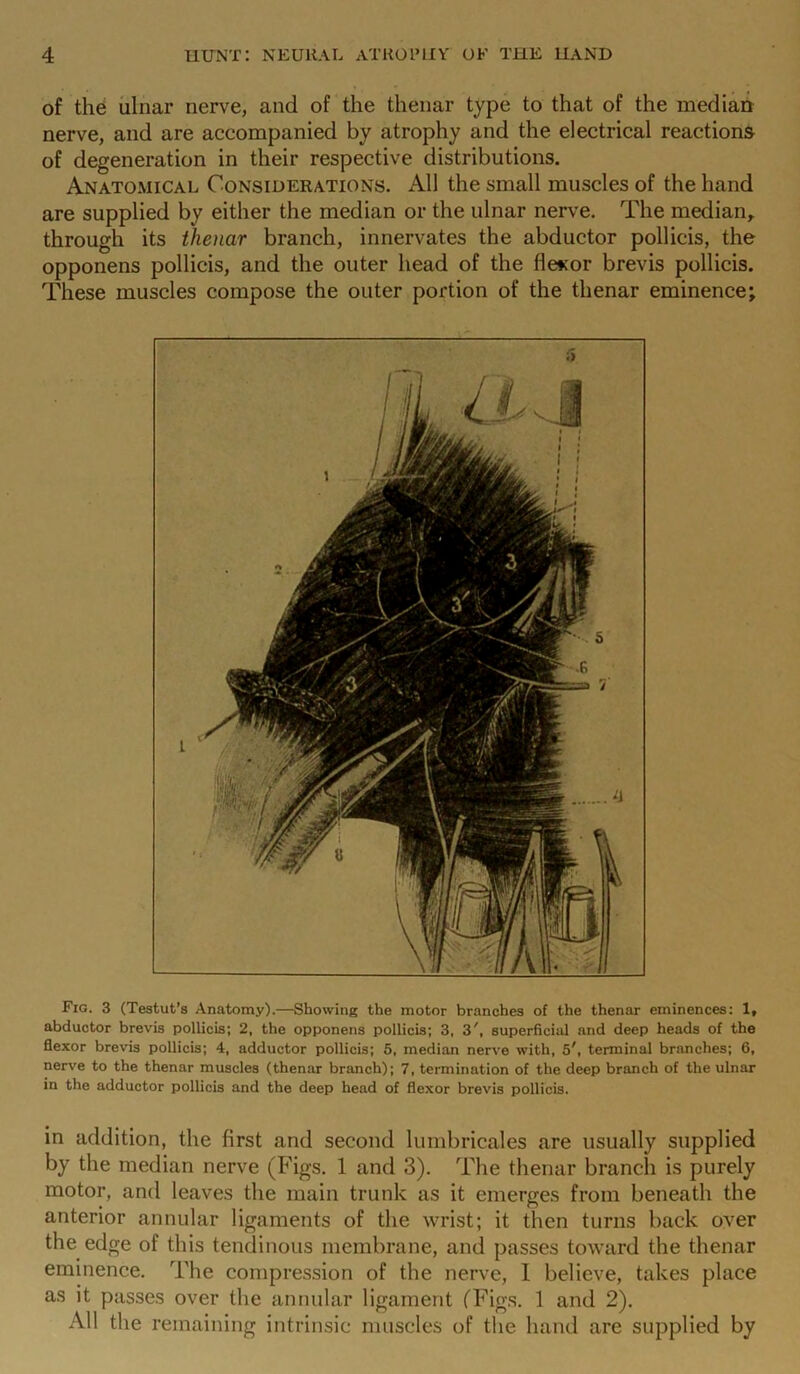 of the ulnar nerve, and of the thenar type to that of the median nerve, and are accompanied by atrophy and the electrical reactions of degeneration in their respective distributions. Anatomical Considerations. All the small muscles of the hand are supplied by either the median or the ulnar nerve. The median, through its thenar branch, innervates the abductor pollicis, the opponens pollicis, and the outer head of the flesor brevis pollicis. These muscles compose the outer portion of the thenar eminence; Fig. 3 (Testut’s Anatomy).—Showing the motor branches of the thenar eminences: 1, abductor brevis pollicis; 2, the opponens pollicis; 3, 3', superficial and deep heads of the flexor brevis pollicis; 4, adductor pollicis; 5, median nerve with, 5', terminal branches; 6, nerve to the thenar muscles (thenar branch); 7, termination of the deep branch of the ulnar in the adductor pollicis and the deep head of flexor brevis pollicis. in addition, the first and second lumbricales are usually supplied by the median nerve (Figs. 1 and 3). The thenar branch is purely motor, and leaves the main trunk as it emerges from beneath the anterior annular ligaments of the wrist; it then turns back over the edge of this tendinous membrane, and passes toward the thenar eminence. The compression of the nerve, I believe, takes place as it passes over the annular ligament (Figs. 1 and 2). All the remaining intrinsic muscles of the hand are supplied by