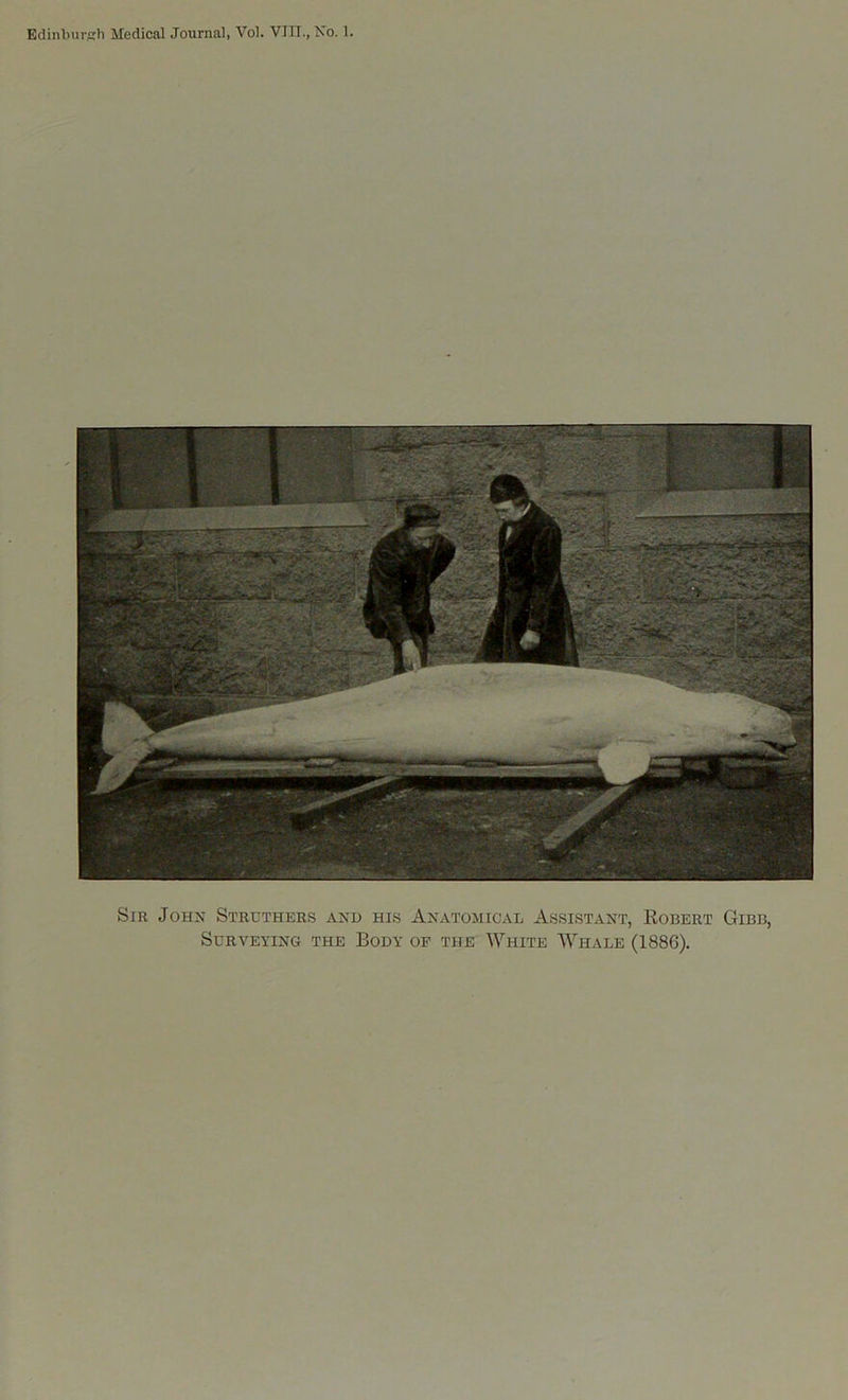 Sir John Struthers and his Anatomical Assistant, Robert Gibb, Surveying the Body of the White Whale (1886).