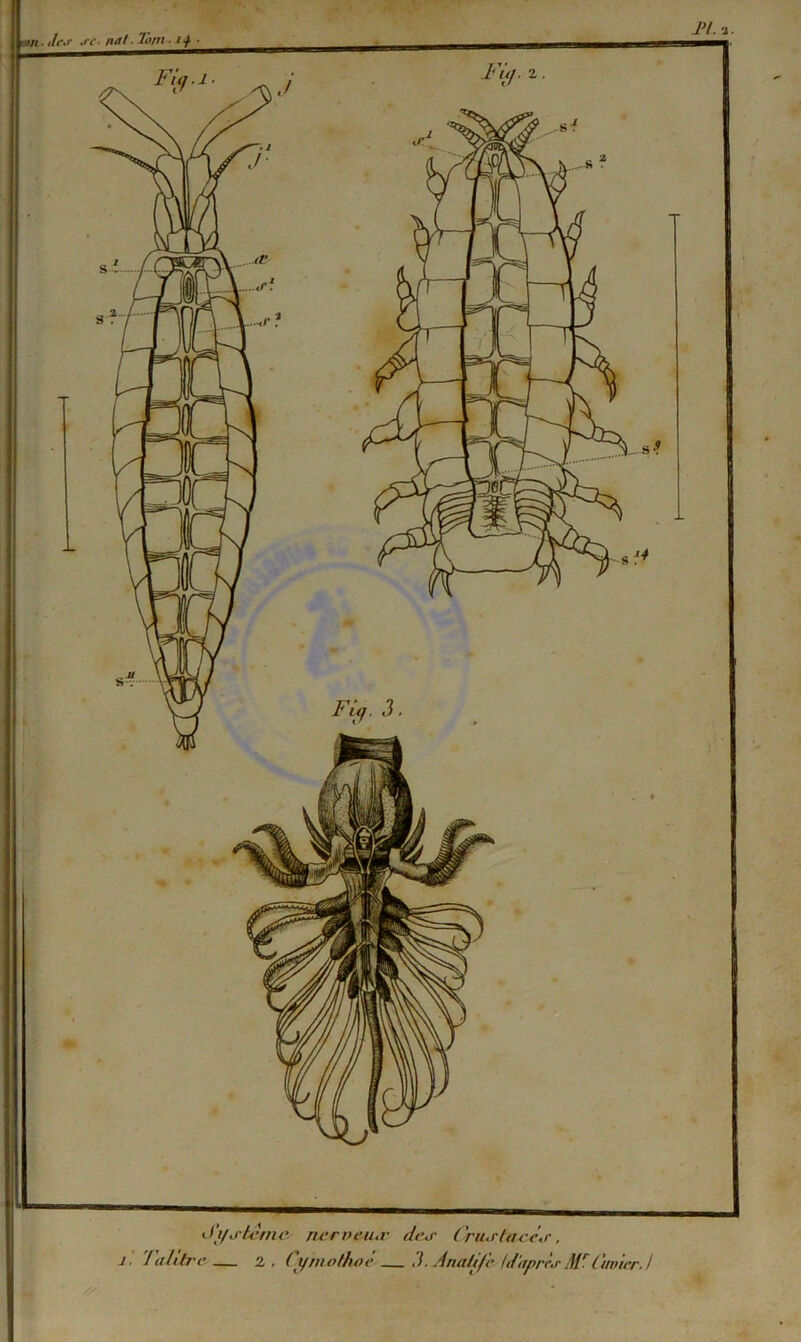 J’i/j-tcnu’ ni'nu’u.r dtur CriM'teue.r,