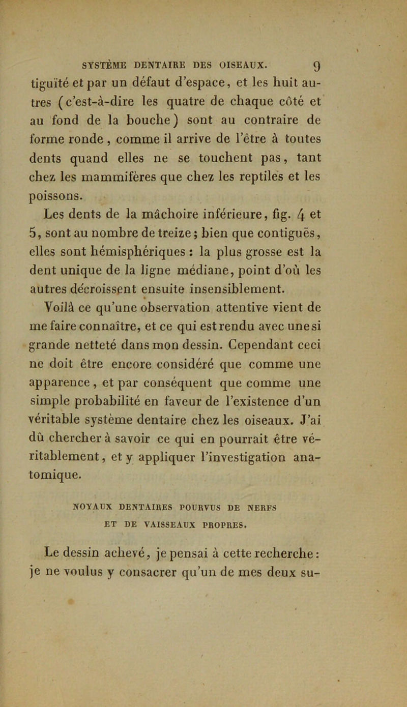tiguïté et par un défaut d’espace, et les huit au- tres ( c’est-à-dire les quatre de chaque coté et au fond de la bouche) sont au contraire de forme ronde, comme il arrive de l’être à toutes dents quand elles ne se touchent pas, tant chez les mammifères que chez les reptiles et les poissons. Les dents de la mâchoire inférieure, fig. 4 et 5, sont au nombre de treize ; bien que contiguës, elles sont hémisphériques : la plus grosse est la dent unique de la ligne médiane, point d’où les autres décroissent ensuite insensiblement. Voilà ce qu’une observation attentive vient de me faire connaître, et ce qui est rendu avec une si grande netteté dans mon dessin. Cependant ceci ne doit être encore considéré que comme une apparence , et par conséquent que comme une simple probabilité en faveur de l’existence d’un véritable système dentaire chez les oiseaux. J’ai du chercher à savoir ce qui en pourrait être vé- ritablement , et y appliquer l’investigation ana- tomique. NOYAUX DENTAIRES POURVUS DE NERFS ET DE VAISSEAUX PROPRES. Le dessin achevé, je pensai à cette recherche : je ne voulus y consacrer qu’un de mes deux su-