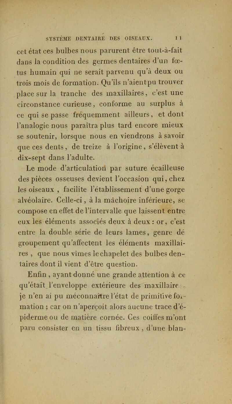 cet état ces bulbes nous parurent être tout-à-fait dans la condition des germes dentaires d’un fœ- tus humain qui ne serait parvenu qu’à deux ou trois mois de formation. Qu’ils n’aient pu trouver place sur la tranche des maxillaires, c’est une circonstance curieuse, conforme au surplus à ce qui se passe fréquemment ailleurs, et dont l’analogie nous paraîtra plus tard encore mieux se soutenir, lorsque nous en viendrons à savoir que ces dents, de treize à l’origine, s’élèvent à dix-sept dans l’adulte. Le mode d’articulation par suture écailleuse des pièces osseuses devient l’occasion qui, chez les oiseaux , facilite l’établissement d’une gorge alvéolaire. Celle-ci, à la mâchoire inférieure, se compose en effet de l’intervalle que laissent entre eux les éléments associés deux à deux: or, c’est entre la double série de leurs lames, genre dé groupement qu’affectent les éléments maxillai- res , que nous vîmes le chapelet des bulbes den- taires dont il vient d’être question. Enfin , ayant donné une grande attention à ce qu’était l’enveloppe extérieure des maxillaire je n’en ai pu méconnaître l’état de primitive foi- mation ; car on n’aperçoit alors aucune trace d’é- piderme ou de matière cornée. Ces coiffes m’ont paru consister en un tissu libreux, d’une blan-