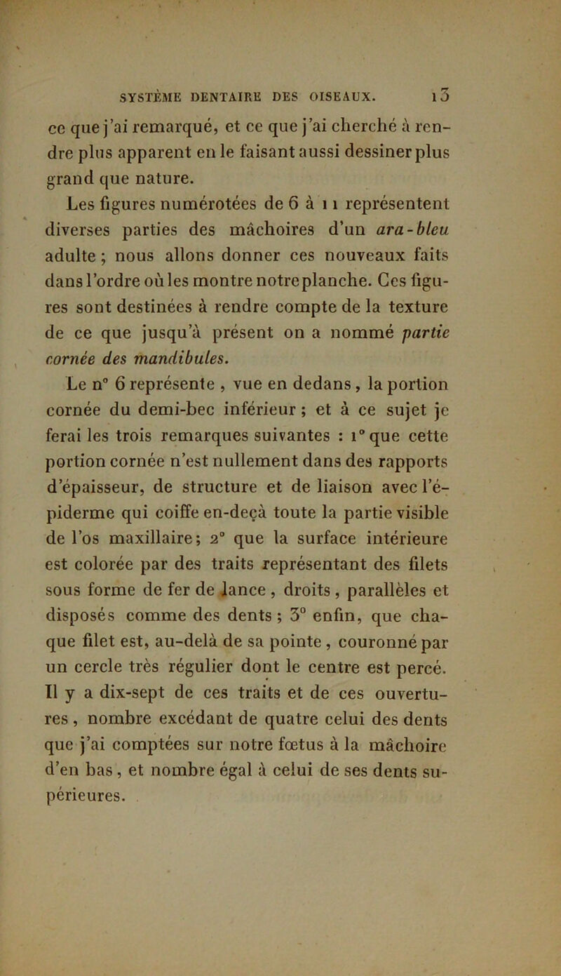 ce que j’ai remarqué, et ce que j’ai cherché à ren- dre plus apparent en le faisant aussi dessiner plus grand que nature. Les figures numérotées de 6 à 11 représentent diverses parties des mâchoires d’un ara-bleu adulte ; nous allons donner ces nouveaux faits dans l’ordre où les montre notre planche. Ces figu- res sont destinées à rendre compte de la texture de ce que jusqu’à présent on a nommé partie cornée des mandibules. Le n° 6 représente , vue en dedans, la portion cornée du demi-bec inférieur ; et à ce sujet je ferai les trois remarques suivantes : i°que cette portion cornée n’est nullement dans des rapports d’épaisseur, de structure et de liaison avec l’é- piderme qui coiffe en-deçà toute la partie visible de l’os maxillaire; 2° que la surface intérieure est colorée par des traits représentant des filets sous forme de fer de Jance , droits , parallèles et disposés comme des dents ; 3° enfin, que cha- que filet est, au-delà de sa pointe , couronné par un cercle très régulier dont le centre est percé. Tl y a dix-sept de ces traits et de ces ouvertu- res , nombre excédant de quatre celui des dents que j’ai comptées sur notre fœtus à la mâchoire d’en bas , et nombre égal à celui de ses dents su- périeures.
