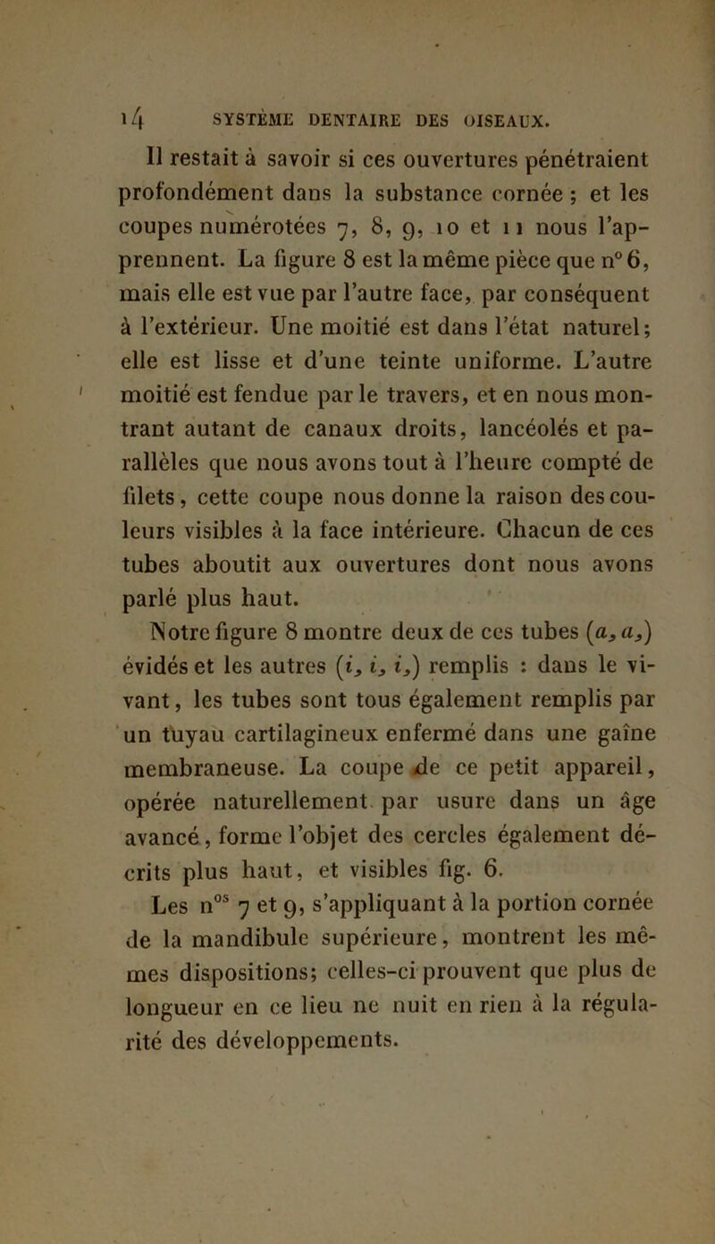 Il restait à savoir si ces ouvertures pénétraient profondément dans la substance cornée ; et les s coupes numérotées 7, 8, 9, 10 et 11 nous l’ap- prennent. La figure 8 est la même pièce que n°6, mais elle est vue par l’autre face, par conséquent à l’extérieur. Une moitié est dans letat naturel; elle est lisse et d’une teinte uniforme. L’autre moitié est fendue par le travers, et en nous mon- trant autant de canaux droits, lancéolés et pa- rallèles que nous avons tout à l’heure compté de filets, cette coupe nous donne la raison des cou- leurs visibles à la face intérieure. Chacun de ces tubes aboutit aux ouvertures dont nous avons parlé plus haut. Notre figure 8 montre deux de ces tubes (a, a3) évidés et les autres (i, i3 i,) remplis : dans le vi- vant, les tubes sont tous également remplis par un tuyau cartilagineux enfermé dans une gaine membraneuse. La coupe /de ce petit appareil, opérée naturellement par usure dans un âge avancé, forme l’objet des cercles également dé- crits plus haut, et visibles fig. 6. Les nos 7 et 9, s’appliquant à la portion cornée de la mandibule supérieure, montrent les mê- mes dispositions; celles-ci prouvent que plus de longueur en ce lieu ne nuit en rien à la régula- rité des développements.
