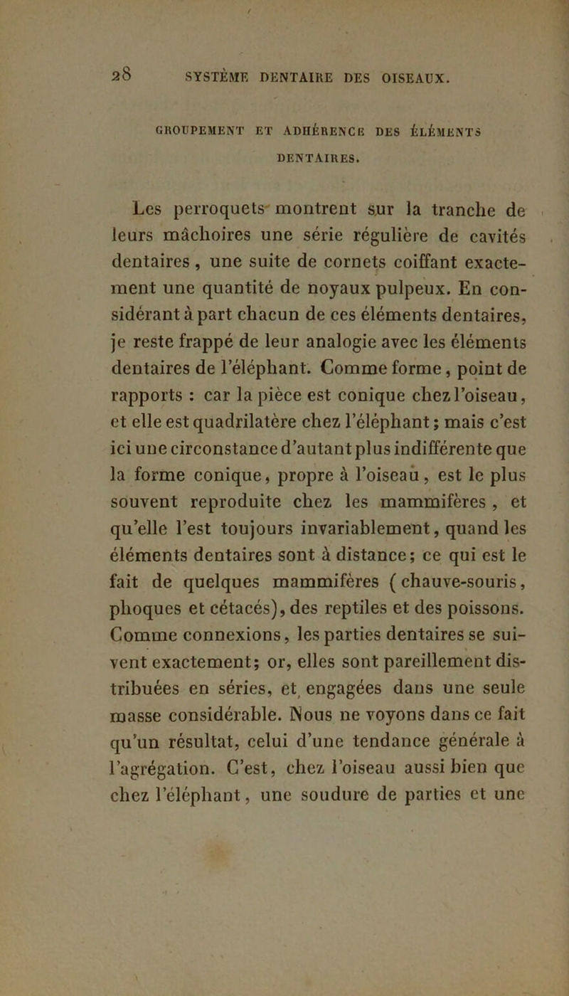 GROUPEMENT ET ADHÉRENCE DES ÉLÉMENTS DENTAIRES. Les perroquets' montrent sur la tranche de leurs mâchoires une série régulière de cavités dentaires, une suite de cornets coiffant exacte- ment une quantité de noyaux pulpeux. En con- sidérant à part chacun de ces éléments dentaires, je reste frappé de leur analogie avec les éléments dentaires de l’éléphant. Comme forme, point de rapports : car la pièce est conique chez l’oiseau, et elle est quadrilatère chez l’éléphant ; mais c’est ici une circonstance d’autant plus indifférente que la forme conique, propre à l’oiseau, est le plus souvent reproduite chez les mammifères , et quelle l’est toujours invariablement, quand les éléments dentaires sont à distance; ce qui est le fait de quelques mammifères ( chauve-souris, phoques et cétacés), des reptiles et des poissons. Comme connexions, les parties dentaires se sui- vent exactement; or, elles sont pareillement dis- tribuées en séries, et engagées dans une seule masse considérable. Nous ne voyons dans ce fait qu’un résultat, celui d’une tendance générale à l’agrégation. C’est, chez l’oiseau aussi bien que chez l’éléphant, une soudure de parties et une