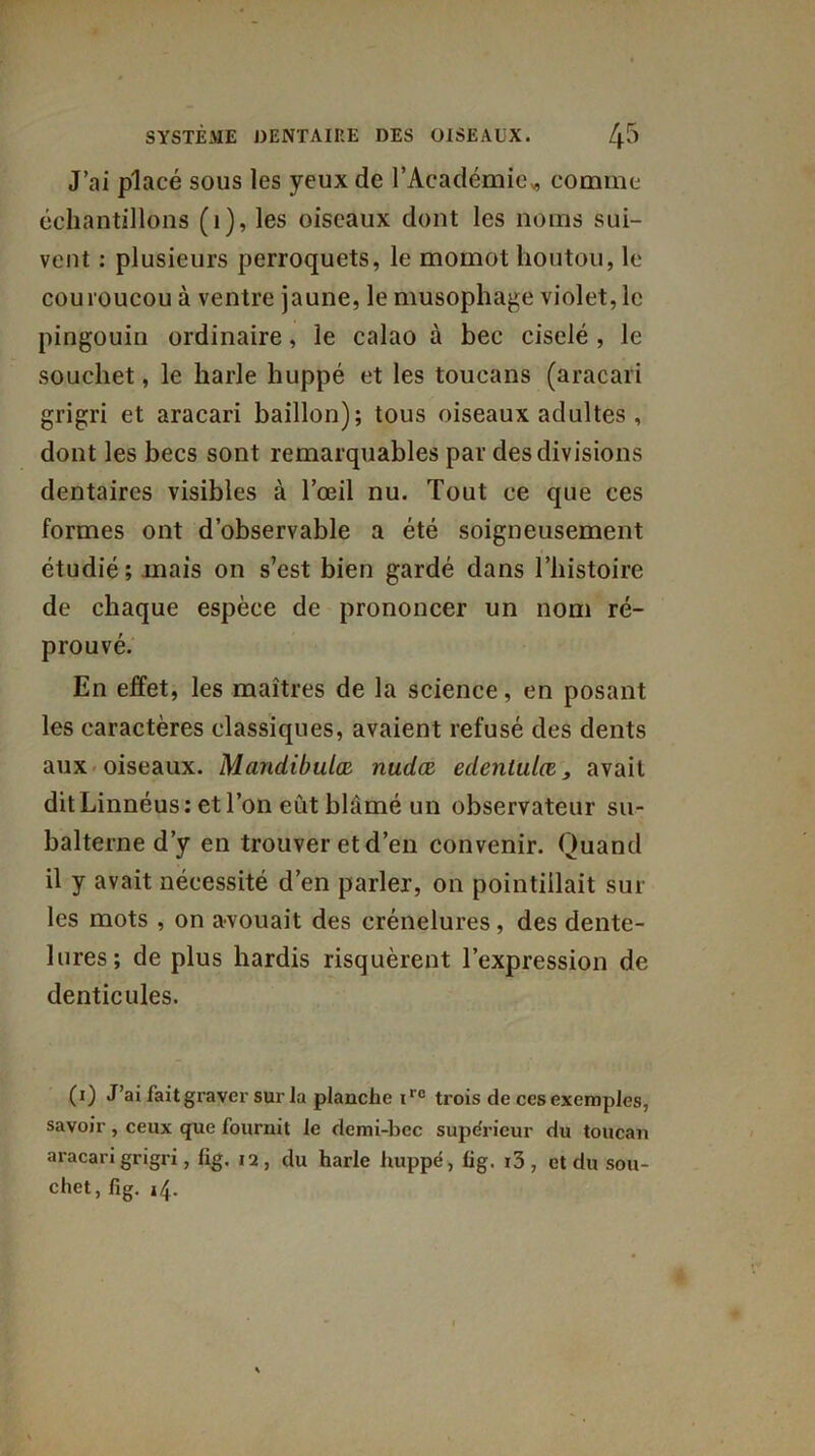 J’ai placé sous les yeux de l'Académie*, comme échantillons (1), les oiseaux dont les noms sui- vent : plusieurs perroquets, le momot houtou, le couroucou à ventre jaune, le musophage violet, le pingouin ordinaire, le calao à bec ciselé , le soudiet, le liarle huppé et les toucans (aracari grigri et aracari bâillon); tous oiseaux adultes, dont les becs sont remarquables par des divisions dentaires visibles à l’œil nu. Tout ce que ces formes ont d’observable a été soigneusement étudié; mais on s’est bien gardé dans l’histoire de chaque espèce de prononcer un nom ré- prouvé. En effet, les maîtres de la science, en posant les caractères classiques, avaient refusé des dents aux oiseaux. Mandibules, nudæ edentulœ, 3 avait dit Linnéus: et l’on eût blâmé un observateur su- balterne d’y en trouver et d’en convenir. Quand il y avait nécessité d’en parler, on pointiilait sur les mots , on avouait des crénelures, des dente- lures; de plus hardis risquèrent l’expression de denticules. (i) J’ai fait graver sur la planche irc trois de ces exemples, savoir, ceux que fournit le demi-bec supérieur du toucan aracari grigri, fig. 12, du harle huppé, lig. i3 , et du sou- chet, fig. i\.