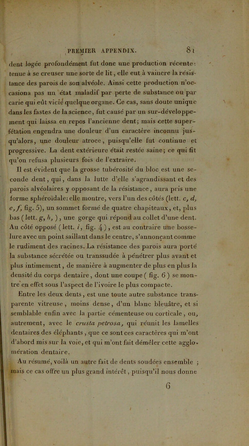 1 dent logée profondément fut donc une production récente : tenue à se creuser une sorte de lit, elle eut à vaincre la résis- tance des parois de son alvéole. Ainsi cette production n’oc- casioua pas un état maladif par perte de substance ou par carie qui eût vicié quelque organe. Ce cas, sans doute unique dans les fastes de la science, fut causé par un sur-développe- ment qui laissa en repos l’ancienne dent; mais cette super- fétation engendra une douleur d’un caractère inconnu jus- qu’alors, une douleur atroce, puisqu’elle fut continue et progressive. La dent extérieure était restée saine; ce qui fit qu’on refusa plusieurs fois de l’extraire. Il est évident que la grosse tubérosité du bloc est une se- conde dent, qui, dans la lutte d’elle s’agrandissant et des parois alvéolaires y opposant de la résistance, aura pris une forme sphéroïdale: elle montre, vers l’un des côtés (lett. c, d, e,f, fig. 5), un sommet formé de quatre chapiteaux, et, plus bas ( lett. g, li, ) , une gorge qui répond au collet d’une dent. Au côté opposé (lett. /, fig. 4) j est au contraire une bosse- lure avec un point saillant dans le centre, s’annonçant comme le rudiment des racines. La résistance des parois aura porté la substance sécrétée ou transsudée à pénétrer plus avant et plus intimement, de manière à augmenter de plus en plus la densité du corps dentaire, dont une coupe ( fig. 6 ) se mon- tre en effet sous l’aspect de l’ivoire le plus compacte. Entre les deux dents, est une toute autre substance trans- parente vitreuse, moins dense, d’un blanc bleuâtre, et si semblable enfin avec Ja partie cémenteuse ou corticale , ou, autrement, avec le crusta petrosa, qui réunit les lamelles dentaires des éléphants , que ce sont ces caractères qui m’ont d’abord mis sur la voie, et qui m’ont fait démêler cette agglo- mération dentaire. Au résumé, voilà un autre fait de dents soudées ensemble ; mais ce cas ofTre un plus grand intérêt, puisqu’il nous donne G /