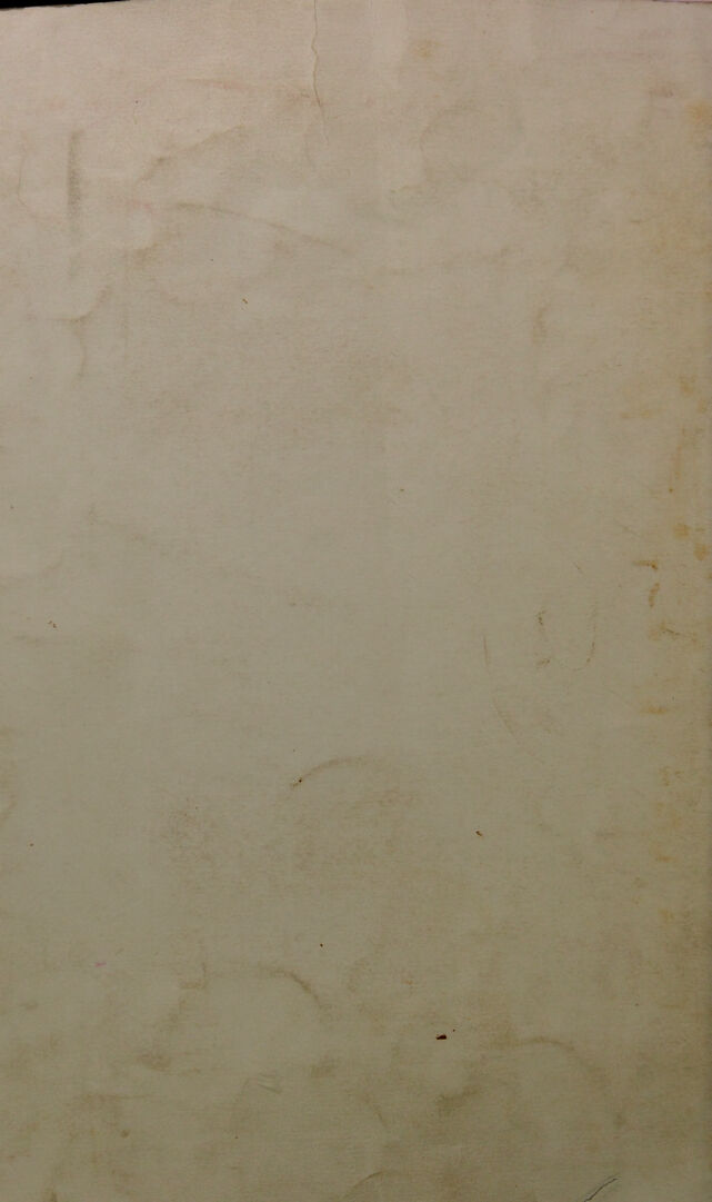 digitised image 2