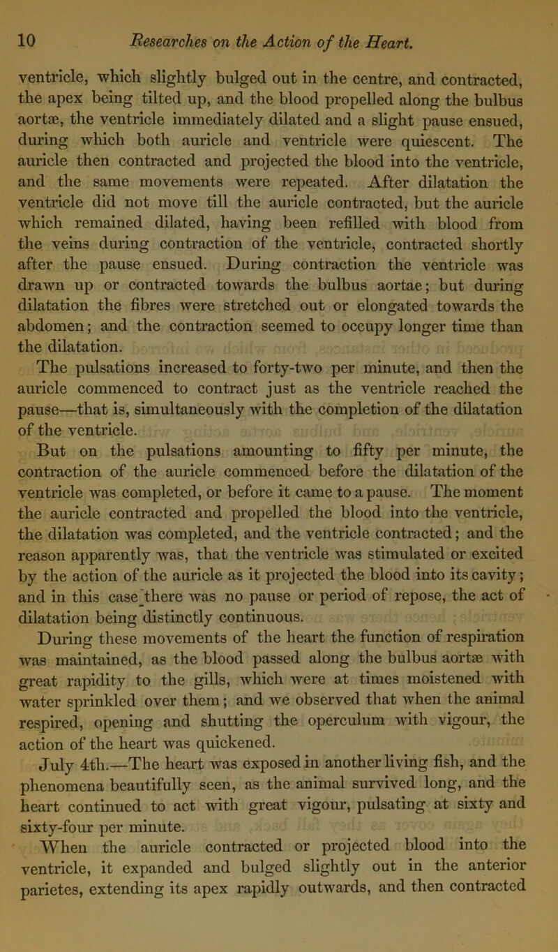 ventricle, which slightly bulged out in the centre, and contracted, the apex being tilted up, and the blood propelled along the bulbus aortse, the ventricle immediately dilated and a slight pause ensued, during which both auricle and ventricle were quiescent. The auricle then contracted and projected the blood into the ventricle, and the same movements were repeated. After dilatation the ventricle did not move till the auricle contracted, but the auricle which remained dilated, having been refilled with blood from the veins during contraction of the ventricle, contracted shortly after the pause ensued. During contraction the ventricle was drawn up or contracted towards the bulbus aortae; but during dilatation the fibres were stretched out or elongated towards the abdomen; and the contraction seemed to occupy longer time than the dilatation. The pulsations increased to forty-two per minute, and then the auricle commenced to contract just as the ventricle reached the pause—that is, simultaneously with the completion of the dilatation of the ventricle. But on the pulsations amounting to fifty per minute, the contraction of the auricle commenced before the dilatation of the ventricle was completed, or before it came to a pause. The moment the auricle contracted and propelled the blood into the ventricle, the dilatation was completed, and the ventricle contracted; and the reason apparently was, that the ventricle was stimulated or excited by the action of the auricle as it projected the blood into its cavity; and in this case there was no pause or period of repose, the act of dilatation being distinctly continuous. During these movements of the heart the function of respiration was maintained, as the blood passed along the bulbus aortae with great rapidity to the gills, which were at times moistened with water sprinkled over them ; and we observed that when the animal respired, opening and shutting the operculum with vigour, the action of the heart was quickened. July 4th.—The heart was exposed in another living fish, and the phenomena beautifully seen, as the animal survived long, and the heart continued to act with great vigour, pulsating at sixty and sixty-four per minute. When the aui'icle contracted or projected blood into the ventricle, it expanded and bulged slightly out in the anterior parietes, extending its apex rapidly outwards, and then contracted