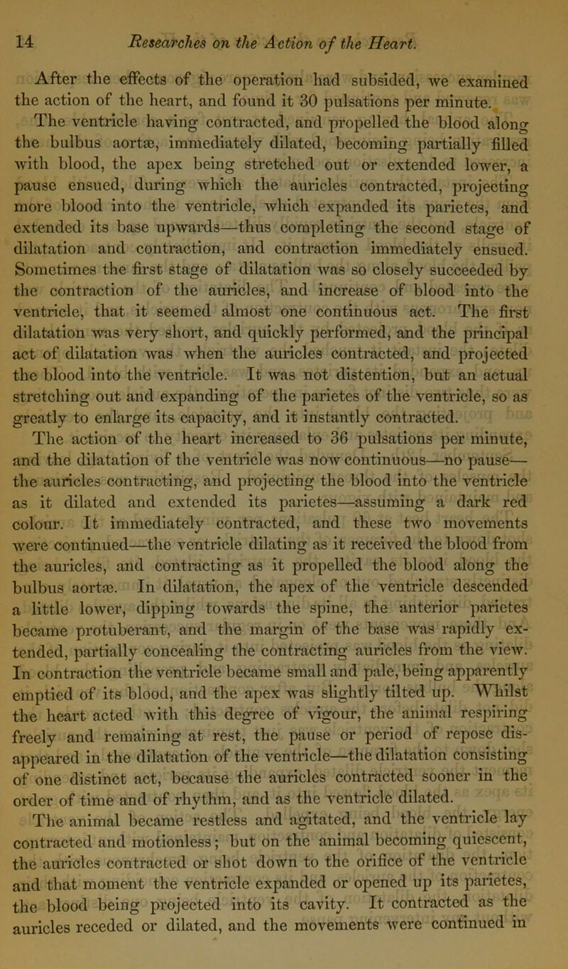 After the effects of the operation had subsided, we examined the action of the heart, and found it 30 pulsations per minute.. The ventricle having contracted, and propelled the blood along the bulbus aortas, immediately dilated, becoming partially filled with blood, the apex being stretched out or extended lower, a pause ensued, during which the auricles contracted, projecting more blood into the ventricle, which expanded its parietes, and extended its base upwards—thus completing the second stage of dilatation and contraction, and contraction immediately ensued. Sometimes the first stage of dilatation was so closely succeeded by the contraction of the auricles, and increase of blood into the ventricle, that it seemed almost one continuous act. The first dilatation was very short, and quickly performed, and the principal act of dilatation was when the auricles contracted, and projected the blood into the ventricle. It was not distention, but an actual stretching out and expanding of the parietes of the ventricle, so as greatly to enlarge its capacity, and it instantly contracted. The action of the heart increased to 36 pulsations per minute, and the dilatation of the ventricle was now continuous—no pause— the auricles contracting, and projecting the blood into the ventricle as it dilated and extended its parietes—assuming a dark red colour. It immediately contracted, and these two movements were continued—the ventricle dilating as it received the blood from the auricles, and contracting as it propelled the blood along the bulbus aortas. In dilatation, the apex of the ventricle descended a little lower, dipping towards the spine, the anterior parietes became protuberant, and the margin of the base was rapidly ex- tended, partially concealing the contracting auricles from the vieAv. In contraction the ventricle became small and pale, being apparently emptied of its blood, and the apex Avas slightly tilted up. Whilst the heart acted Avith this degree of vigour, the animal respiring freely and remaining at rest, the pause or period of repose dis- appeared in the dilatation of the Arentriclc—the dilatation consisting of one distinct act, because the auricles contracted sooner in the order of time and of rhythm, and as the ventricle dilated. The animal became restless and agitated, and the ventricle lay contracted and motionless; but on the animal becoming quiescent, the auricles contracted or shot doAvn to the orifice of the ventricle and that moment the ventricle expanded or opened up its parietes, the blood being projected into its cavity. It contracted as the auricles receded or dilated, and the movements A\rere continued in