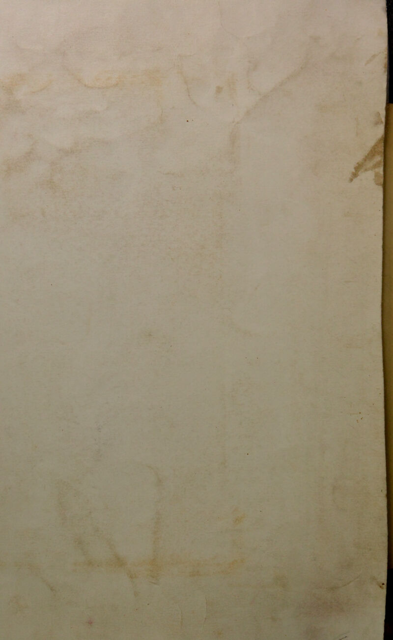 ■ V * I ■ ■ . ' Jl