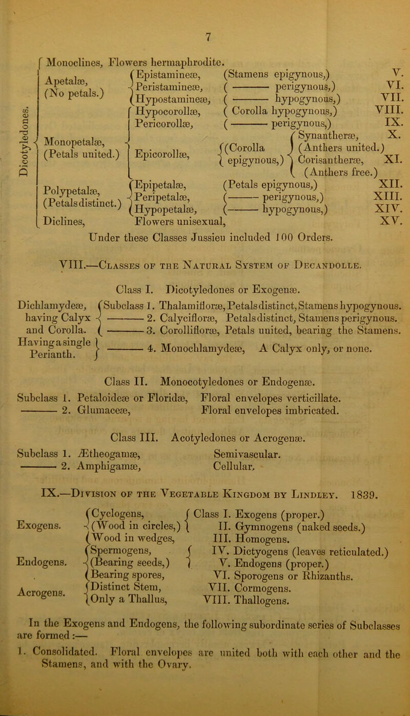 [ Monoclines, Flowers hermaphrodite 02 <V O <D O o Apetal®, (Epistamineas, n Peristamineae, (No petals.) ^tT \ ■L> ' r ' (Hypostammeae, Hypocorollm, ■{ Monopetalse, (Petals united.) Pericorolke, Epicorollae, Polypetalse, (Petalsdistinct.) 1„pe ' (Hypopetalas, Diclines, (Stamens epigynous,) ( perigynous,) ( typogynous,) ( Corolla hypogynous,) ( perigynous,) ( Synantherao, ((Corolla Y. YI. VII. YIII. IX. X. J (Anthers united.) 1 epigynous,) j Corisantherae, XI. \ (Anthers free.) (Petals epigynous,) XII. ( perigynous,) XIII. ( hypogynous,) XIV. Flowers unisexual, Under these Classes Jussieu included 100 Orders. XV. VIII.—Classes of the Natural System of Decandolle. Dichlamydeae, having Calyx and Corolla. Having a single Perianth. I } Class I. Dicotyledones or Exogenm. Subclass 1. Thalamifiorae, Petals distinct, Stamens hypogynous. 2. Calyciflorse, Petalsdistinct, Stamens perigynous. 3. Corolliflorm, Petals united, bearing the Stamens. 4. Monochlamydeae, A Calyx only, or none. Class II. Monocotyledones or Endogenas. Subclass 1. Petaloideae or Floridae, Floral envelopes verticillate. 2. Glumaceae, Floral envelopes imbricated. Class III. Acotyledones or Acrogenae. Subclass 1. TEtlieogamas, Semivascular. 2. Amphigamae, Cellular. ' IX.—Division of the Vegetable Kingdom by Lindley. 1839. Exogens. Endogens. Acrogens. (Cyclogens, _ •<(Wood in circles,) (Wood in wedges, Spermogens, (Bearing seeds,) Bearing spores, Distinct Stem, Only a Thallus, f Class I. Exogens (proper.) ( II. Gymnogens (naked seeds.) III. Plomogens. ( IV. Dictyogens (leaves reticulated.) 1 V. Endogens (proper.) VI. Sporogens or Rhizanths. VII. Cormogens. VIII. Thallogens. In the Exogens and Endogens, the following subordinate series of Subclasses are formed:— 1. Consolidated. Floral envelopes are united both with each other and the Stamens, and with the Ovary.
