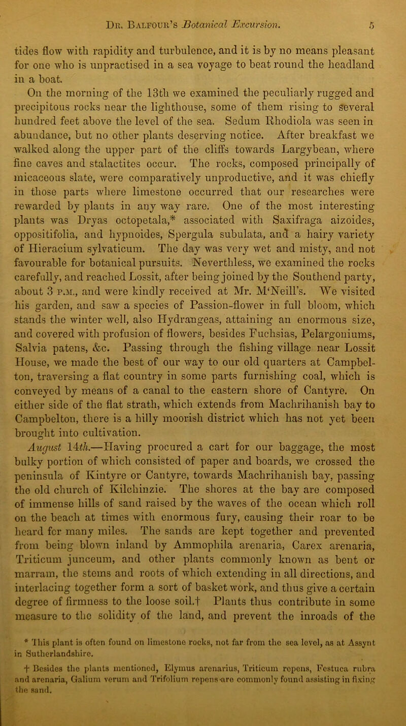 tides flow with rapidity and turbulence, and it is by no means pleasant for one who is unpractised in a sea voyage to beat round the headland in a boat. On the morning of the 13th we examined the peculiarly rugged and precipitous rocks near the lighthouse, some of them rising to Several hundred feet above the level of the sea. Sedum Rhodiola was seen in abundance, but no other plants deserving notice. After breakfast we walked along the upper part of the cliffs towards Largybean, where fine caves and stalactites occur. The rocks, composed principally of micaceous slate, were comparatively unproductive, and it was chiefly in those parts where limestone occurred that our researches were rewarded by plants in any way rare. One of the most interesting plants was Dryas octopetala,^ associated with Saxifraga aizoides, oppositifolia, and hypuoides, Spergula subulata, and a hairy variet}- of Hieracium sylvaticum. The day was very wet and misty, and not favourable for botanical pursuits. Neverthless, we examined the rocks carefully, and reached Lossit, after being joined by the Southend party, about 3 P.M., and were kindly received at Mr. M'Neill’s. We visited his garden, and saw a species of Passion-flower in full bloom, which stands the winter well, also Hydrangeas, attaining an enormous size, and covered with profusion of flowers, besides Fuchsias, Pelargoniums, Salvia patens, &c. Passing through the fishing village near Lossit House, we made the best of our way to our old quarters at Campbel- ton, traversing a flat country in some parts furnishing coal, which is conveyed by means of a canal to the eastern shore of Cantyre. On either side of the flat strath, which extends from Machrihanish bav to Campbelton, there is a hilly moorish district which has not yet been brought into cultivation. August lAth.—Having procured a cart for our baggage, the most bulky portion of which consisted of paper and boards, we crossed the peninsula of Kintyre or Cantyre, towards Machrihanish bay, passing the old church of Kilchinzie. The shores at the bay are composed of immense hills of sand raised by the waves of the ocean which roll on the beach at times with enormous fury, causing their roar to bo heard fcr many miles. The sands are kept together and prevented from being blown inland by Ammophila arenaria, Carex arenaria, Triticum junceum, and other plants commonly known as bent or marram, the stems and roots of which extending in all directions, and interlacing together form a sort of basket work, and thus give a certain degree of firmness to the loose soil.f Plants thus contribute in some measure to the solidity of the land, and prevent the inroads of the * 'this plant is often found on limestone rocks, not far from the sea level, as at Assynt in Sutherlandshire. t Besides the plants mentioned, Elymus arcnarius, Triticum ropens, Eestuca rubra and arenaria, Galium verum and Trifolium ropens-are commonly found assisting in fixing the sand.