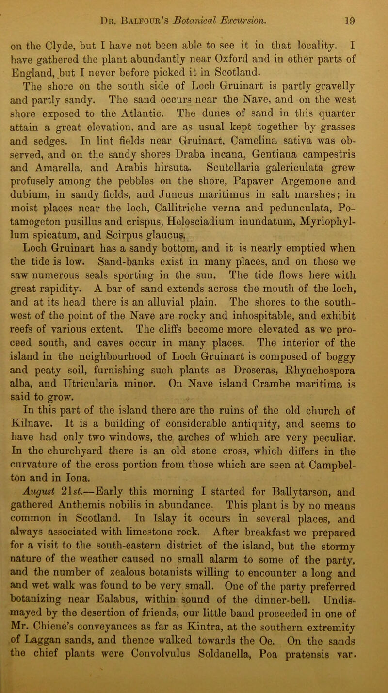 on the Clyde, but I have not been able to see it in that locality. I have gathered the plant abundantly near Oxford and in other parts of England, but I never before picked it in Scotland. The shore on the south side of Loch Gruinart is partly gravelly and partly sandy. The sand occurs near the Nave, and on the west shore exposed to the Atlantic. The dunes of sand in this quarter attain a great elevation, and are as usual kept together by grasses and sedges. In lint fields near Gruinart, Camelina sativa was ob- served, and on the sandy shores Draba incana, Gentiana campestris and Amarella, and Arabis hirsuta. Scutellaria galericulata grew profusely among the pebbles on the shore, Papaver Argemone and dubium, in sandy fields, and Juncus maritimus in salt marshes; in moist places near the loch, Callitriche verna and pedunculata, Po- tamogetou pusillus and crispus, Helosciadium inundatum, Myriophyl- lum spicatum, and Scirpus glaucus. Loch Gruinart has a sandy bottom, and it is nearly emptied when the tide is low. Sand-banks exist in many places, and on these we saw numerous seals sporting in the sun. The tide flows here with great rapidity. A bar of sand extends across the mouth of the loch, and at its head there is an alluvial plain. The shores to the south- west of the point of the Nave are rocky and inhospitable, and exhibit reefs of various extent. The cliffs become more elevated as we pro- ceed south, and caves occur in many places. The interior of the island in the neighbourhood of Loch Gruinart is composed of boggy and peaty soil, furnishing such plants as Droseras, Rhynchospora alba, and Utricularia minor. On Nave island Crambe maritima is said to grow. In this part of the island there are the ruins of the old church of Kilnave. It is a building of considerable antiquity, and seems to have had only two windows, the arches of which are very peculiar. In the churchyard there is an old stone cross, which differs in the curvature of the cross portion from those which are seen at Campbel- ton and in Iona. August 2\st.—Early this morning I started for Ballytarson, and gathered Anthemis nobilis in abundance. This plant is by no means common in Scotland. In Islay it occurs in several places, and always associated with limestone rock. After breakfast wo prepared for a visit to the south-eastern district of the island, but the stormy nature of the weather caused no small alarm to some of the party, and the number of zealous botanists willing to encounter a long and and wet walk was found to be very small. One of the party preferred botanizing near Ealabus, within sound of the dinner-bell. Undis- mayed by the desertion of friends, our little band proceeded in one of Mr. Chiene’s conveyances as far as Kintra, at the southern extremity of Laggan sands, and thence walked towards the Oe. On the sands the chief plants were Convolvulus Soldanella, Poa pratensis var.