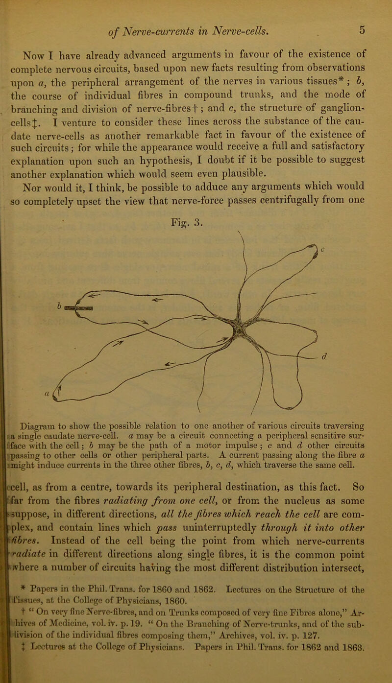 Now I have already advanced arguments in favour of the existence of complete nervous circuits, based upon new facts resulting from observations upon a, the peripheral arrangement of the nerves in various tissues* ; b, the course of individual fibres in compound trunks, and the mode of branching and division of nerve-fibres f; and c, the structure of ganglion- cells I venture to consider these lines across the substance of the cau- date nerve-cells as another remarkable fact in favour of the existence of such circuits; for while the appearance would receive a full and satisfactory explanation upon such an hypothesis, I doubt if it be possible to suggest another explanation which would seem even plausible. Nor would it, I think, be possible to adduce any arguments which would so completely upset the view that nerve-force passes centrifugally from one Fig. 3. Diagram to show the possible relation to one another of various circuits traversing : a single caudate nerve-cell, a may be a circuit connecting a peripheral sensitive sm’- 1 face with the cell; h may be the path of a motor impulse; c and d other circuits jjpassing to other cells or other peripheral parts. A current passing along the fibre a imight induce currents in the three other fibres, b, c, d, which traverse the same cell. ■ cell, as from a centre, towards its peripheral destination, as this fact. So t far from the fibres radiating from one cell, or from the nucleus as some ►■suppose, in different directions, all the fibres which reac)i the cell are com- plex, and contain lines which pass uninterruptedly through it into other V fibres. Instead of the cell being the point from which nerve-currents r radiate in different directions along single fibres, it is the common point k fvhere a number of circuits having the most different distribution intersect, I * Papers in the Phil. Trans, for 1860 and 1862. Lectures on the Structure ol the I tissues, at the College of Physicians, 1860. I t “ On very fine Nerve-fibres, and on Trunks composed of very fine Fibres alone,” Ar- I hives of Medicine, vol. iv. p. 19. “ On the Branching of Nerve-trunks, and of the sub- I livision of the individual fibres composing them,” Archives, vol. iv. p. 127. I 1 Lectures at the College of Physicians. Papers in Phil. Trans, for 1862 and 1863.