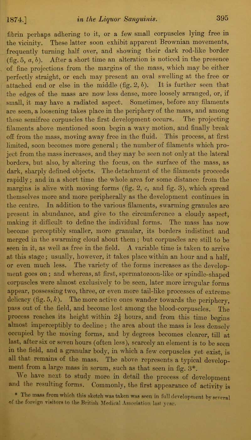 fibrin perhaps adhering to it, or a few small corpuscles lying free in the vicinity. These latter soon exhibit apparent Brownian movements, frequently turning half over, and showing their dark rod-like border (fig. 5, a, h). After a short time an alteration is noticed in the presence of fine projections from the margins of the mass, which may be either perfectly straight, or each may present an oval swelling at the free or attached end or else in the middle (fig. 2, h). It is further seen that the edges of the mass are now less dense, more loosely arranged, or, if small, it may have a radiated aspect. Sometimes, before any filaments are seen, a loosening takes place in the periphery of the mass, and among these semifree corpuscles the first development occurs. The projecting filaments above mentioned soon begin a wavy motion, and finally break off from the mass, moving away free in the fluid. This process, at first limited, soon becomes more general; the number of filaments which pro- ject from the mass increases, and they may be seen not only at the lateral borders, but also, by altering the focus, on the surface of the mass, as dark, sharply defined objects. The detachment of the filaments proceeds rapidly; and in a short time the whole area for some distance from the margins is alive with moving forms (fig. 2, c, and fig. 3), which spread themselves more and more peripheral^ as the development continues in the centre. In addition to the various filaments, swarming granules are present in abundance, and give to the circumference a cloudy aspect, making it difficult to define the individual forms. The mass has now become perceptibly smaller, more granular, its borders indistinct and merged in the swarming cloud about them; but corpuscles are still to be seen in it, as well as free in the field. A variable time is taken to arrive at this stage; usually, however, it takes place within an hour and a half, or even much less. The variety of the forms increases as the develop- ment goes on; and whereas, at first, spermatozoon-like or spindle-shaped corpuscles were almost exclusively to be seen, later more irregular forms appear, possessing two, three, or even more tail-like processes of extreme delicacy (fig. 5, lc). The more active ones wander towards the periphery, pass out of the field, and become lost among the blood-corpuscles. The process reaches its height within 2| hours, and from this time begins almost imperceptibly to decline; the area about the mass is less densely occupied by the moving forms, aud by degrees becomes clearer, till at last, after six or seven hours (often less), scarcely an element is to be seen in the field, and a granular body, in which a few corpuscles yet exist, is all that remains of the mass. The above represents a typical develop- ment from a large mass in serum, such as that seen in fig. 3*. \\ e have next to study more in detail the process of development and the resulting forms. Commonly, the first appearance of activity is * Tho inass from which this sketch was taken was seen in full development by several of the foreign visitors tq the British Medical Association Iasi year.