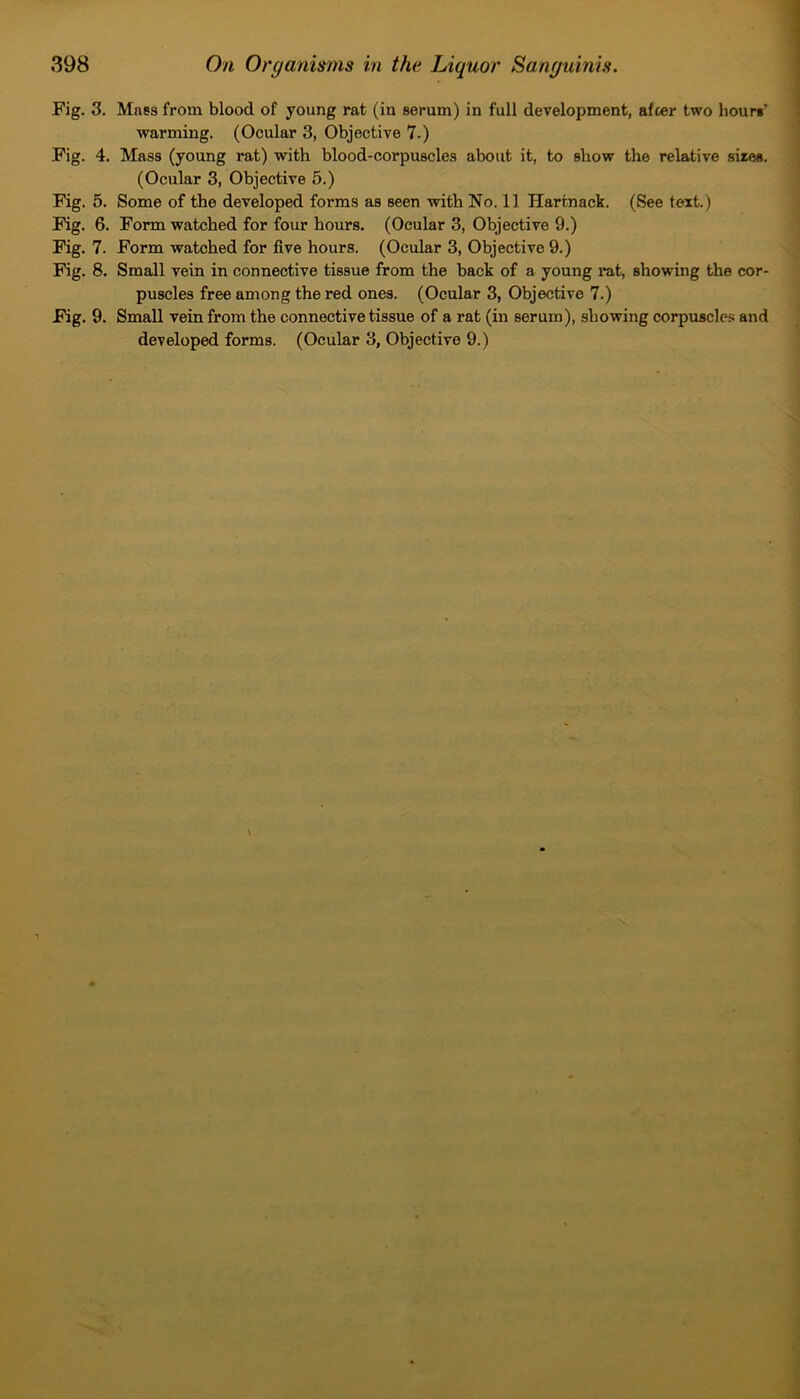 Fig. 3. Mass from blood of young rat (in serum) in full development, after two hours' warming. (Ocular 3, Objective 7.) Fig. 4. Mass (young rat) with blood-corpuscles about it, to show the relative sires. (Ocular 3, Objective 5.) Fig. 5. Some of the developed forms as seen with No. 11 Hartnack. (See text.) Fig. 6. Form watched for four hours. (Ocular 3, Objective 9.) Fig. 7. Form watched for five hours. (Ocular 3, Objective 9.) Fig. 8. Small vein in connective tissue from the back of a young rat, showing the cor- puscles free among the red ones. (Ocular 3, Objective 7.) Fig. 9. Small vein from the connective tissue of a rat (in serum), showing corpuscles and developed forms. (Ocular 3, Objective 9.)