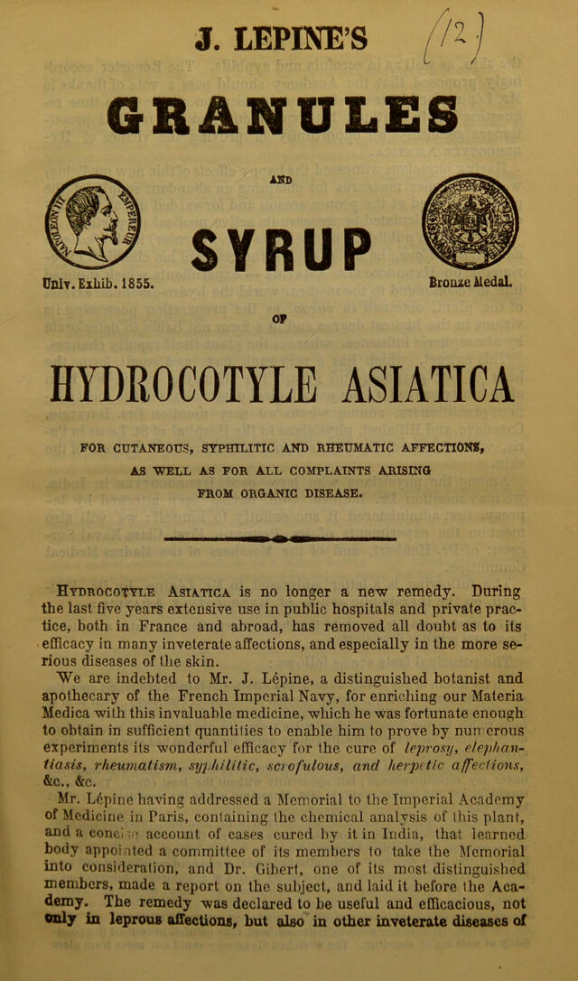 digitised image 3
