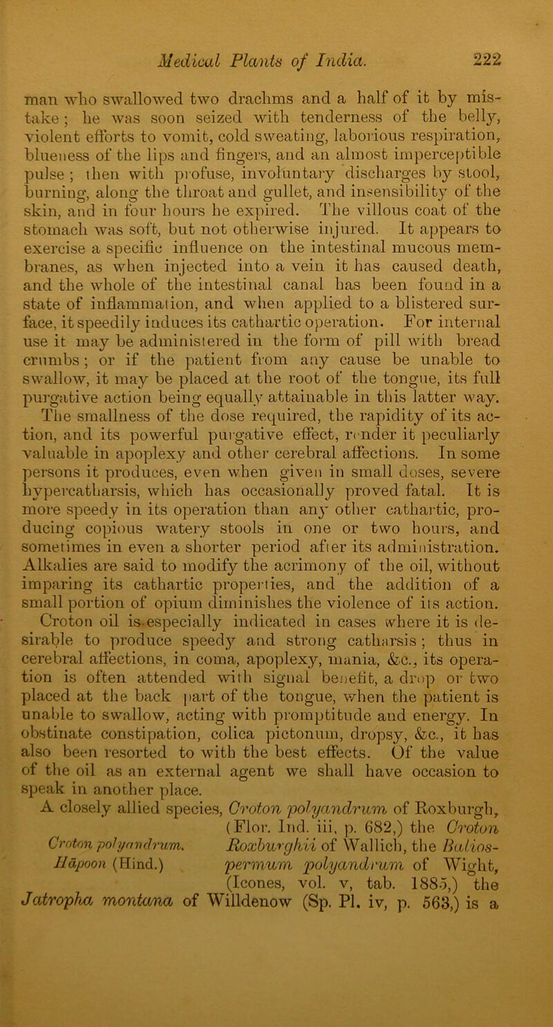 man who swallowed two drachms and a half of it by mis- take ; he was soon seized with tenderness of the belly, violent efforts to vomit, cold sweating, laborious respiration, blueness of the lips and fingers, and an almost imperceptible pulse ; then with profuse, involuntary discharges by stool, burning, along the throat and gullet, and insensibility of the skin, and in four hours he expired. The villous coat of the stomach was soft, but not otherwise injured. It appears to exercise a specific influence on the intestinal mucous mem- branes, as when injected into a vein it has caused death, and the whole of the intestinal canal has been found in a state of inflammation, and when applied to a blistered sur- face, it speedily induces its cathartic operation. For internal use it may be administered in the form of pill with bread crumbs ; or if the patient from any cause be unable to swallow, it may be placed at the root of the tongue, its full purgative action being equally attainable in this latter way. The smallness of the dose required, the rapidity of its ac- tion, and its powerful purgative effect, render it peculiarly valuable in apoplexy and other cerebral affections. In some persons it produces, even when given in small doses, severe hvpercatharsis, which has occasionally proved fatal. It is more speedy in its operation than anj~ other cathartic, pro- ducing copious watery stools in one or two hours, and sometimes in even a shorter period after its administration. Alkalies are said to modify the acrimony of the oil, without imparing its cathartic properties, and the addition of a small portion of opium diminishes the violence of its action. Croton oil is-especially indicated in cases where it is de- sirable to produce speedy and strong catharsis ; thus in cerebral affections, in coma, apoplexy, mania, &c., its opera- tion is often attended with signal benefit, a drop or two placed at the back part of the tongue, when the patient is unable to swallow, acting with promptitude and energy. In obstinate constipation, colica pictonum, dropsy, &c., it has also been resorted to with the best effects. Of the value of the oil as an external agent we shall have occasion to speak in another place. A closely allied species, Croton polyandrum of Roxburgh, (Flor. Inch iii, p. 682,) the Groton Croton polyandrum. Roxburgkii of Wallich, the Balios- Ildpoon (Hind.) permum polyandrum of Wight, (leones, vol. v, tab. 1885,) the Jatrophu montoma of Willdenow (Sp. PI. iv, p. 563,) is a