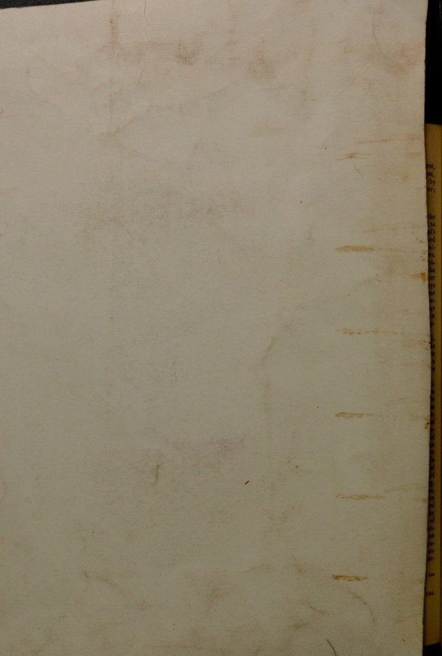 digitised image 2