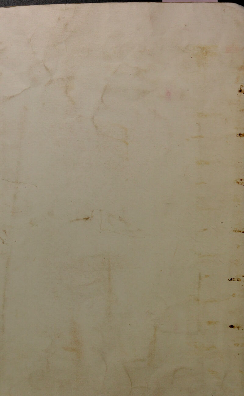 ■ ■ .• . .• - t - *; •0- ‘ - * '*r. ■ . V ■■ * ’ • • fJ#L * <■ ' lr V . ' f