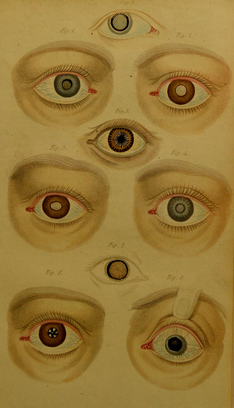 v ><r. //. -Ft'j. / Ft#.