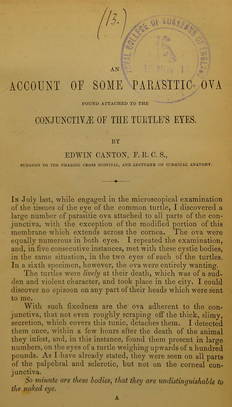 ACCOUNT OF SOME PARASITIC OVA FOUND ATTACHED TO THE CONJUNCTIVE OU THE TURTLE’S EYES. BY EDWIN CANTON, F. R. C. S., SURGEON TO THE CHARING CROSS HOSPITAL, AND LECTURER ON SURGICAL ANATOMY. ♦ In July last, while engaged in the microscopical examination of the tissues of the eye of the common turtle, I discovered a large number of parasitic ova attached to all parts of the con- junctiva, with the exception of the modified portion of this membrane which extends across the cornea. The ova were equally numerous in both eyes. I repeated the examination, and, in five consecutive instances, met with these cystic bodies, in the same situation, in the two eyes of each of the turtles. In a sixth specimen, however, the ova were entirely wanting. The turtles were lively at their death, which was of a sud- den and violent character, and took place in the city. I could discover no epizoon on any part of their heads which were sent to me. With such fixedness are the' ova adherent to the con- junctiva, that not even roughly scraping off the thick, slimy, secretion, which covers this tunic, detaches them. I detected them once, within a few hours after the death of the animal they infest, and, in this instance, found them present in large numbers, on the eyes of a turtle weighing upwards of a hundred pounds. As I-have already stated, they were seen on all parts of the palpebral and sclerotic, but not on the corneal con- junctiva. So minute are these bodies, that they are undistinguishable to the naked eye. A