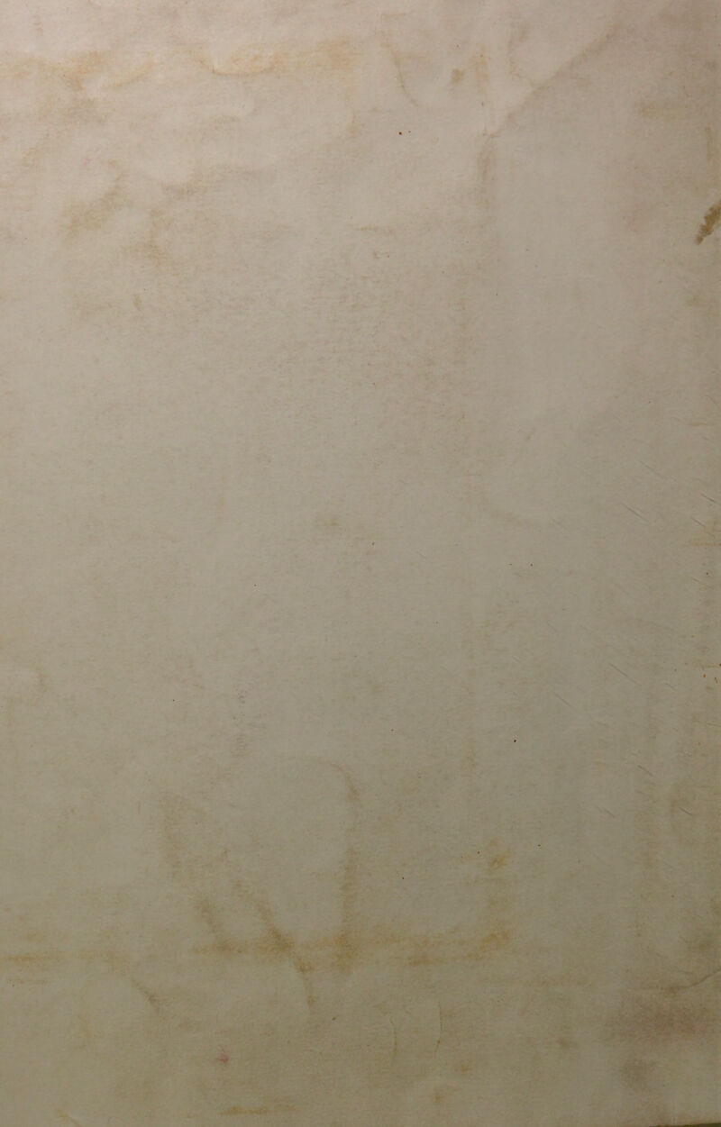 ' ■ ■ • ^ «-» ■ ; , . ■ i ■ ' &■ m: . V-' ill *4 I- - 0* . •••— -■ ijt