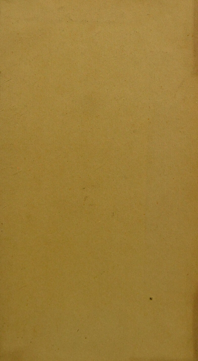 . :7 . r • ' :t.K . vv t m ■ t / t