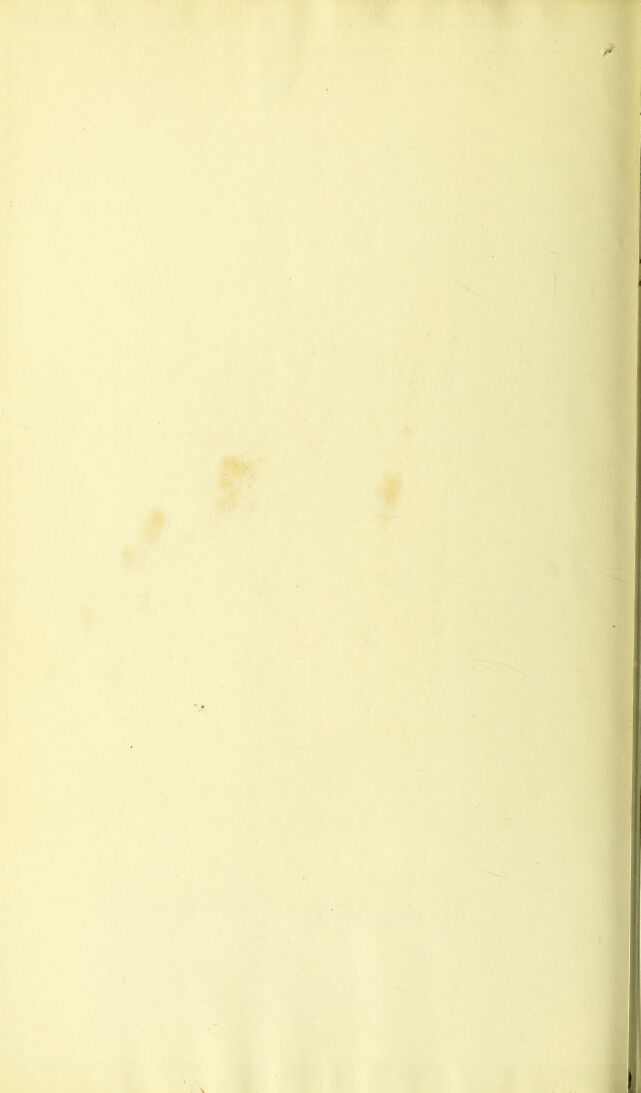 digitised image 2